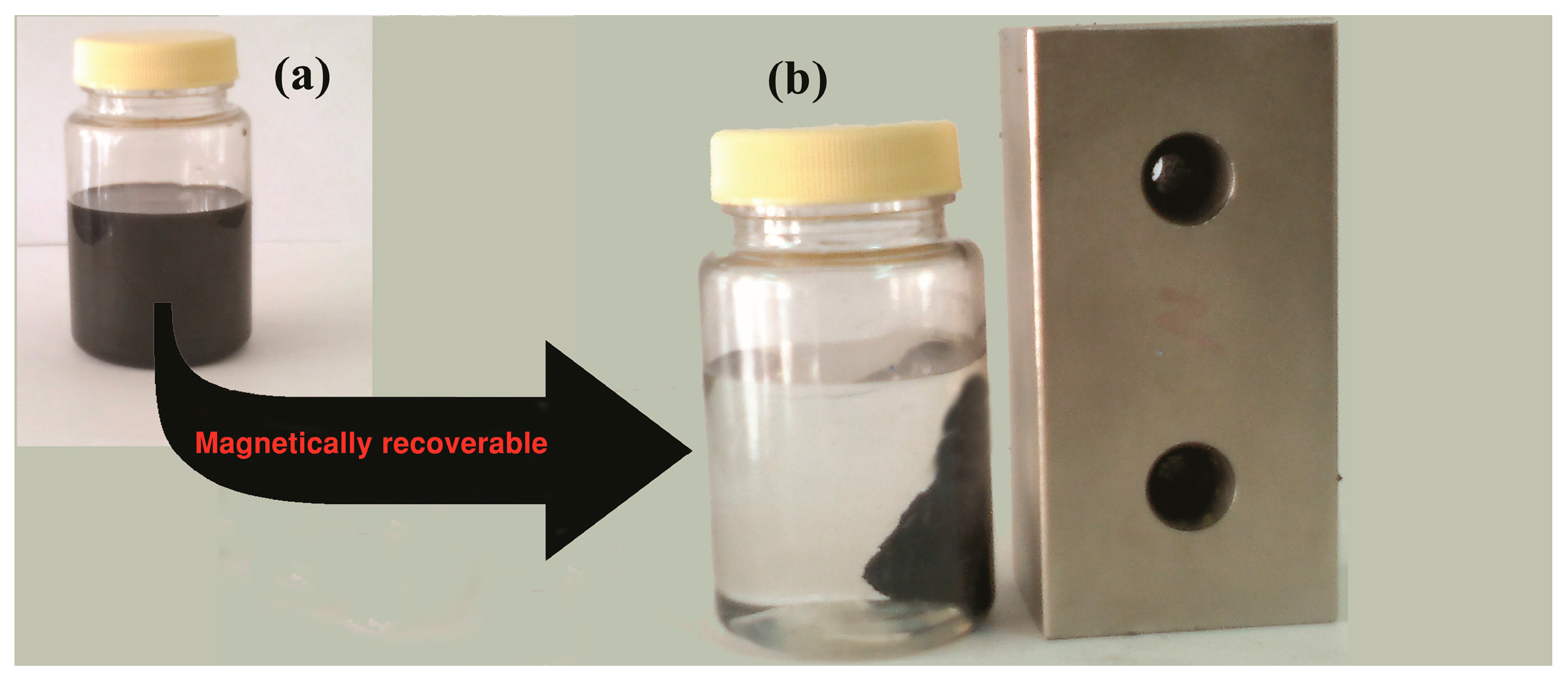 Molecules 23 00330 g010