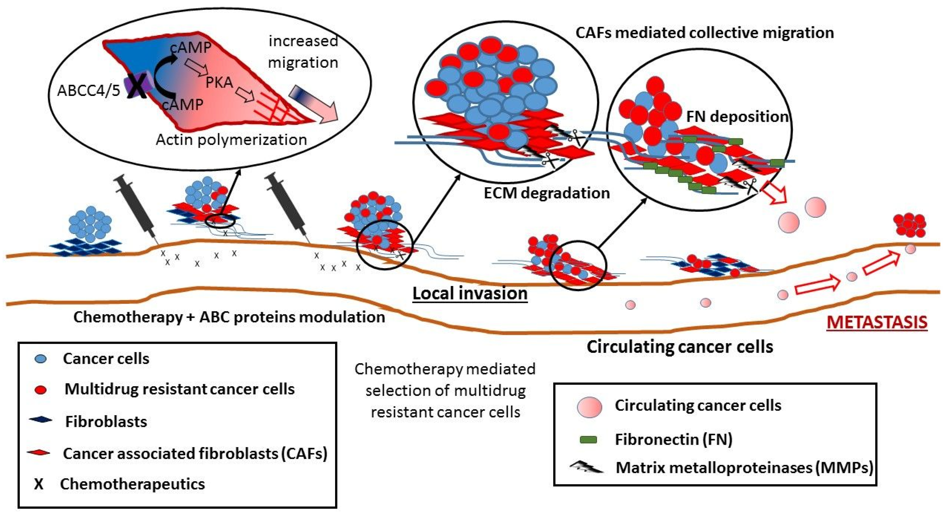 Molecules 23 00331 g001