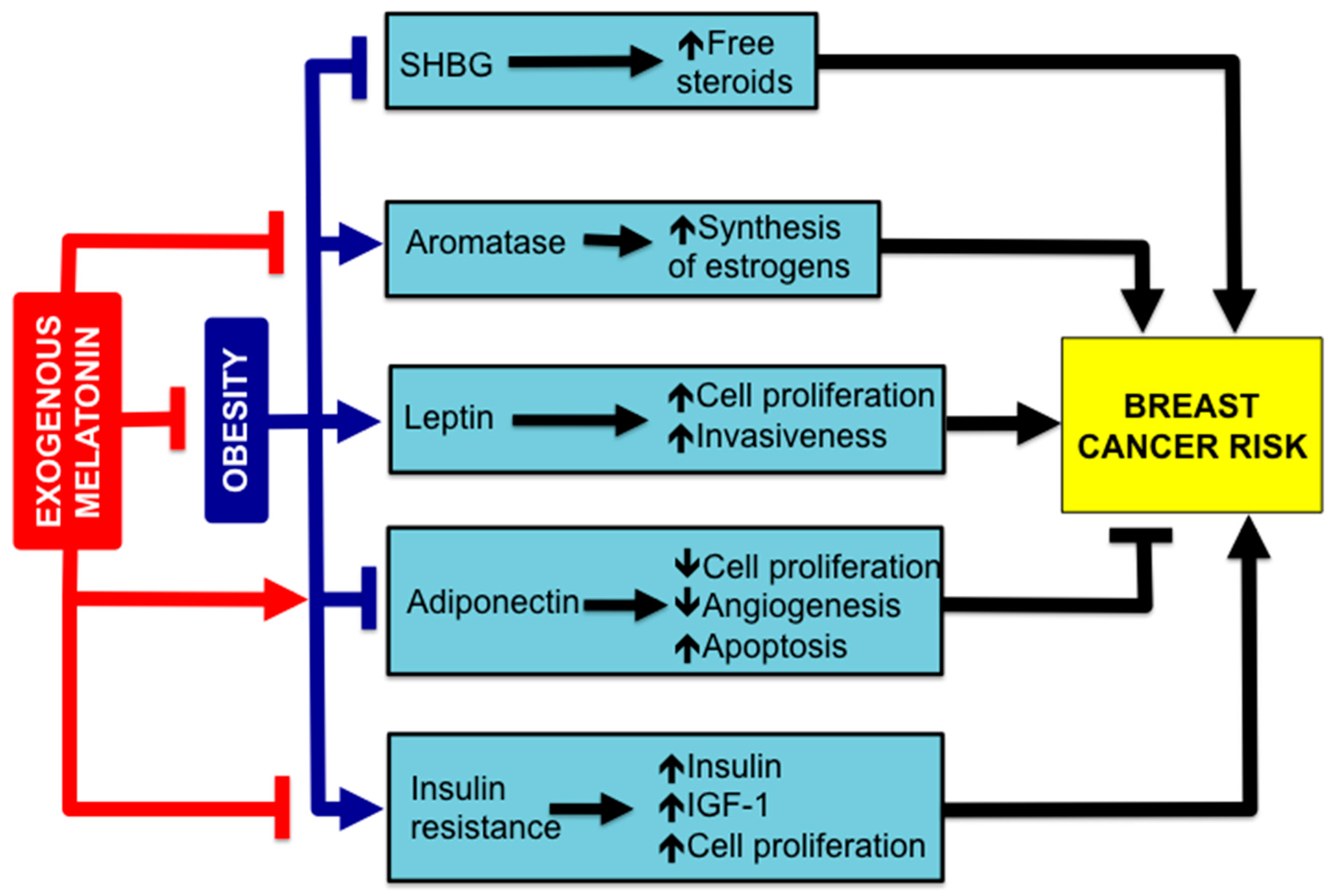 Molecules 23 00336 g005