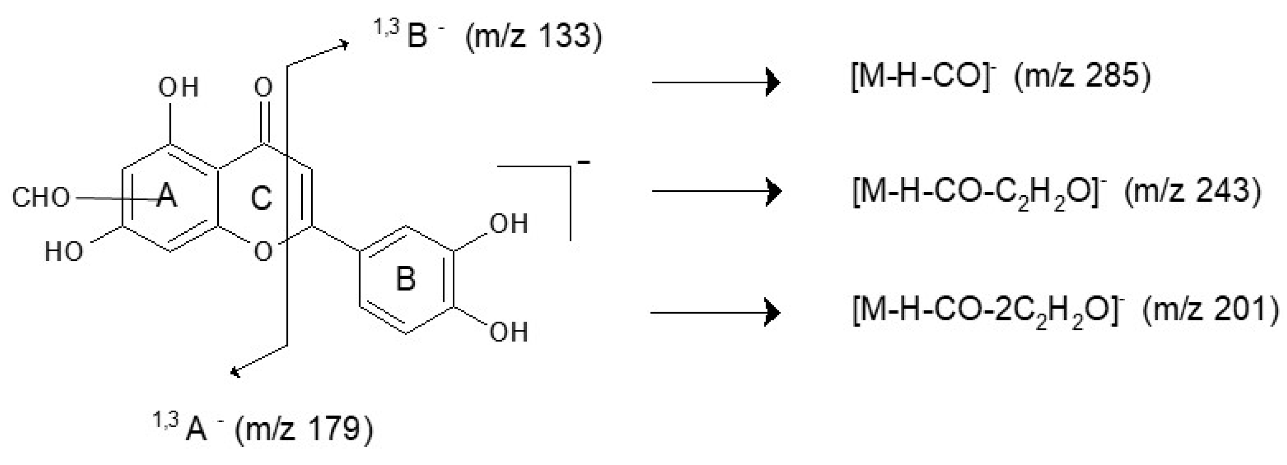 Molecules 23 00339 g004