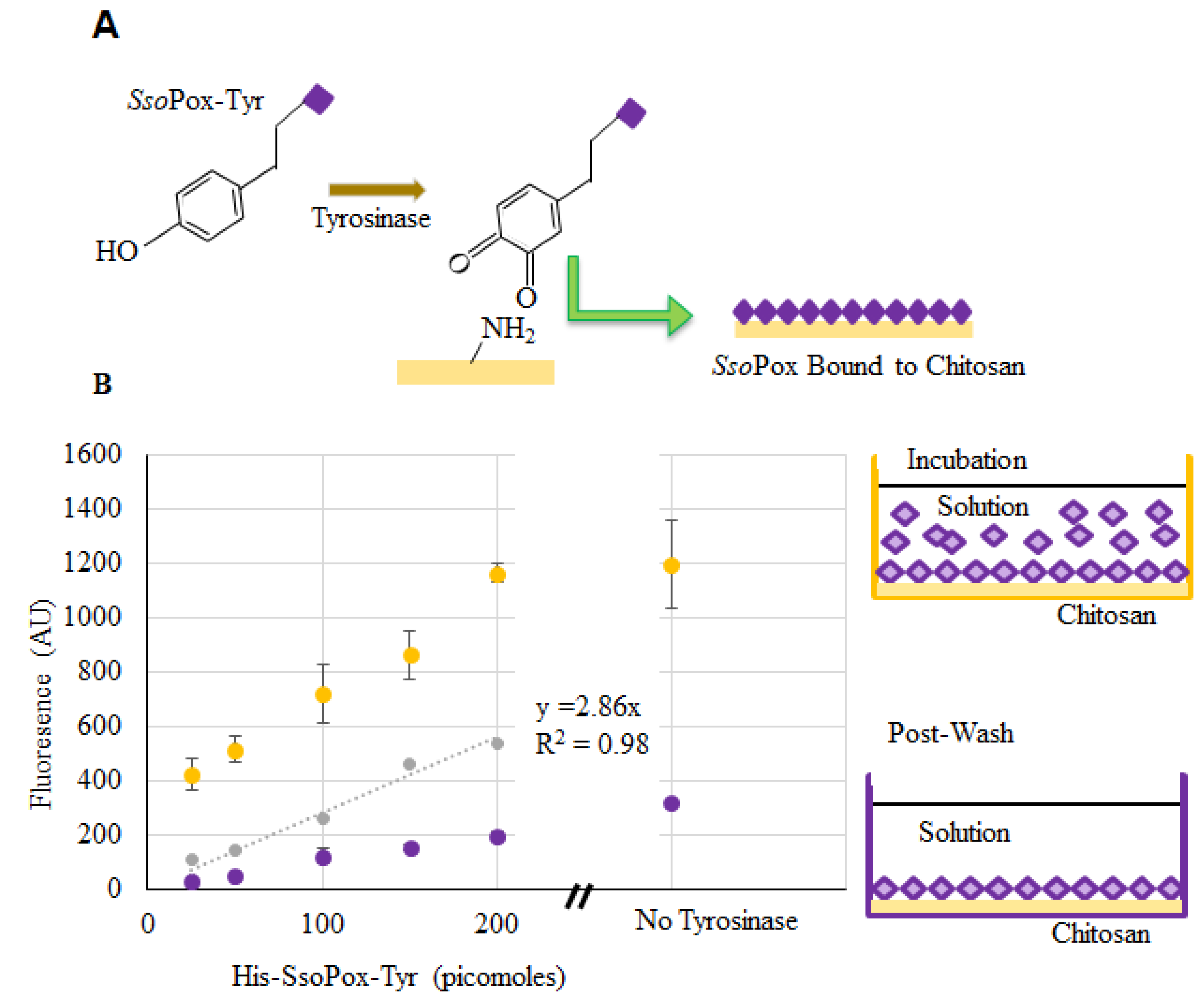 Molecules 23 00341 g004
