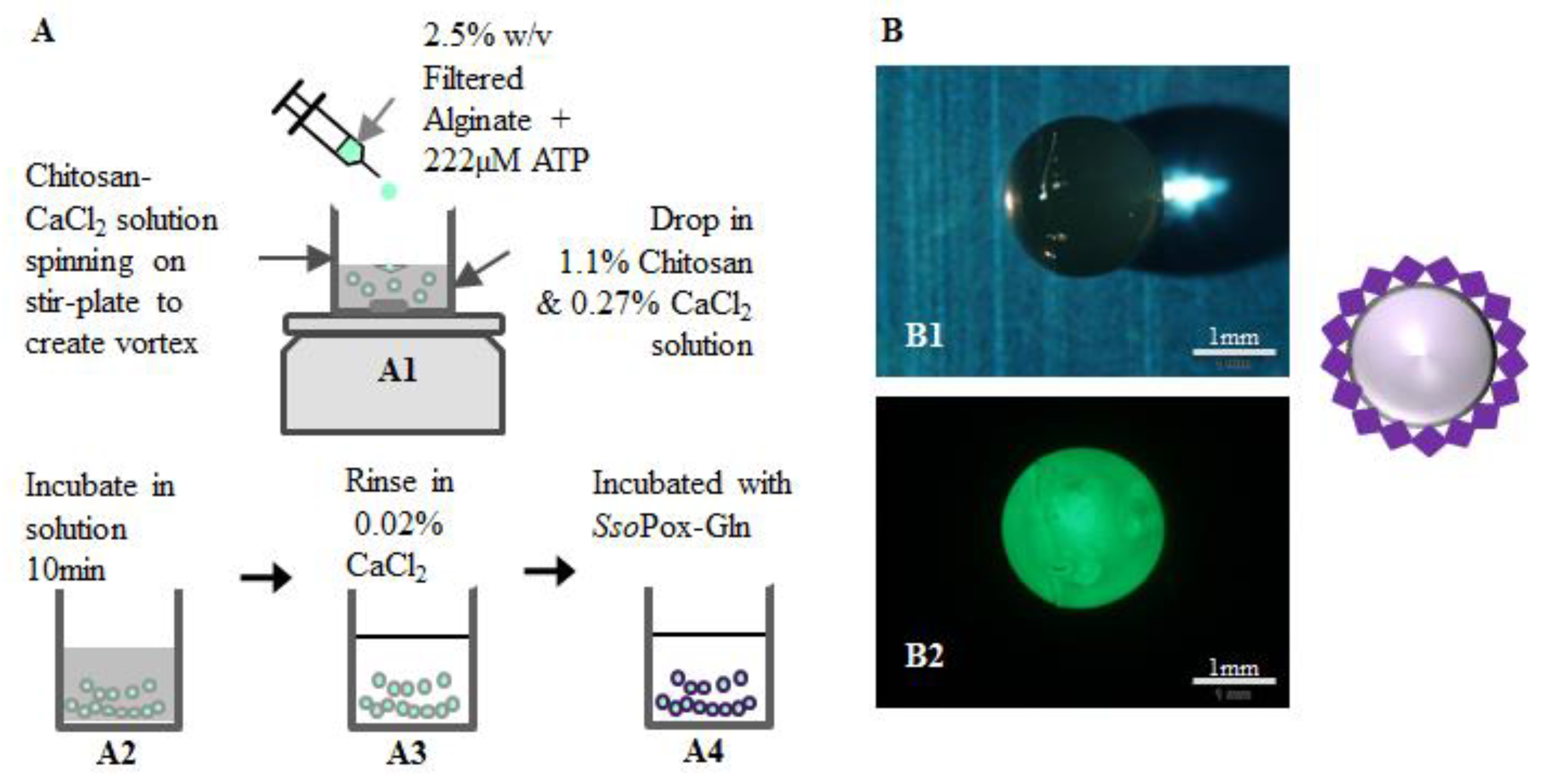 Molecules 23 00341 g007