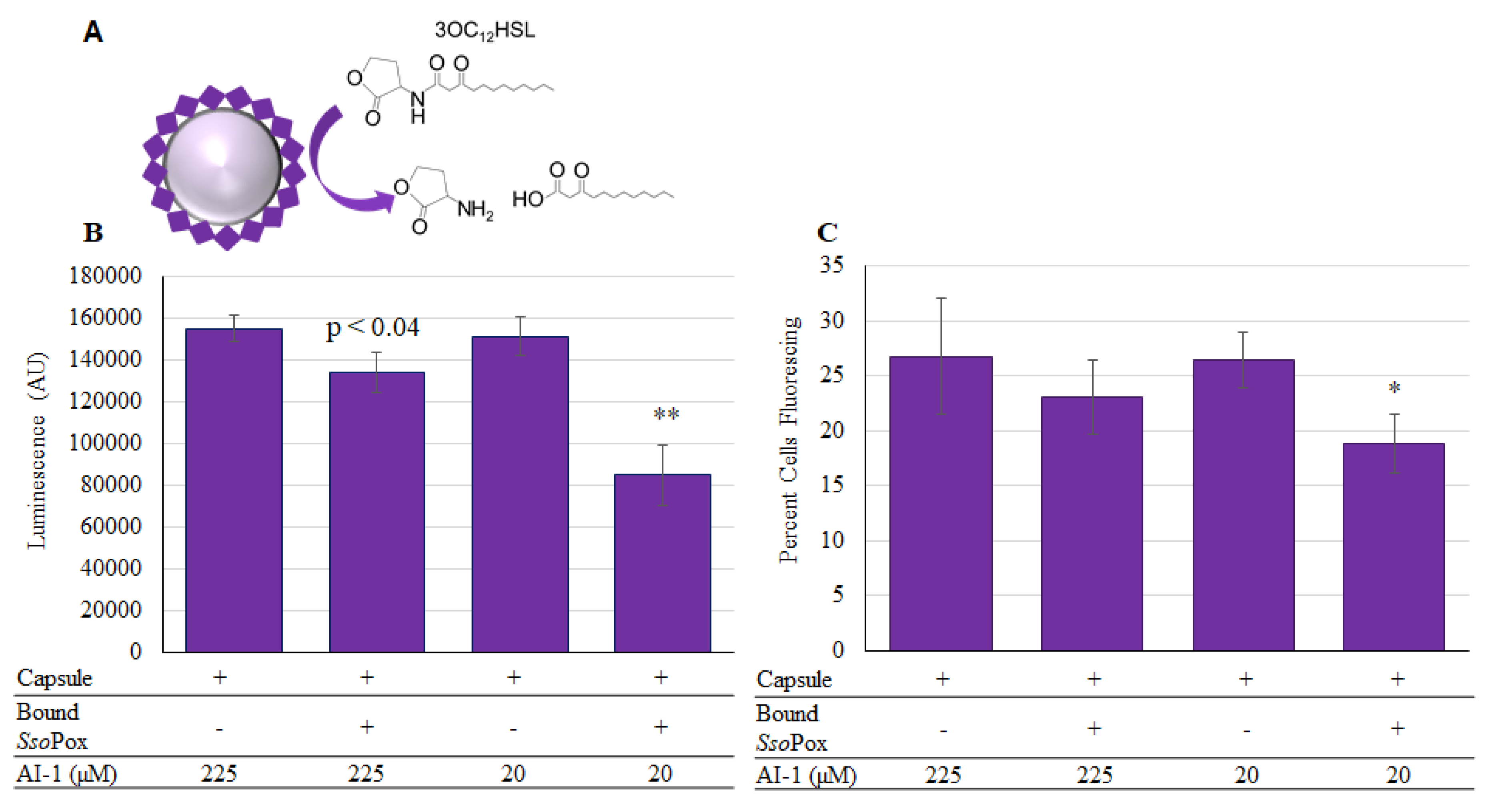 Molecules 23 00341 g008