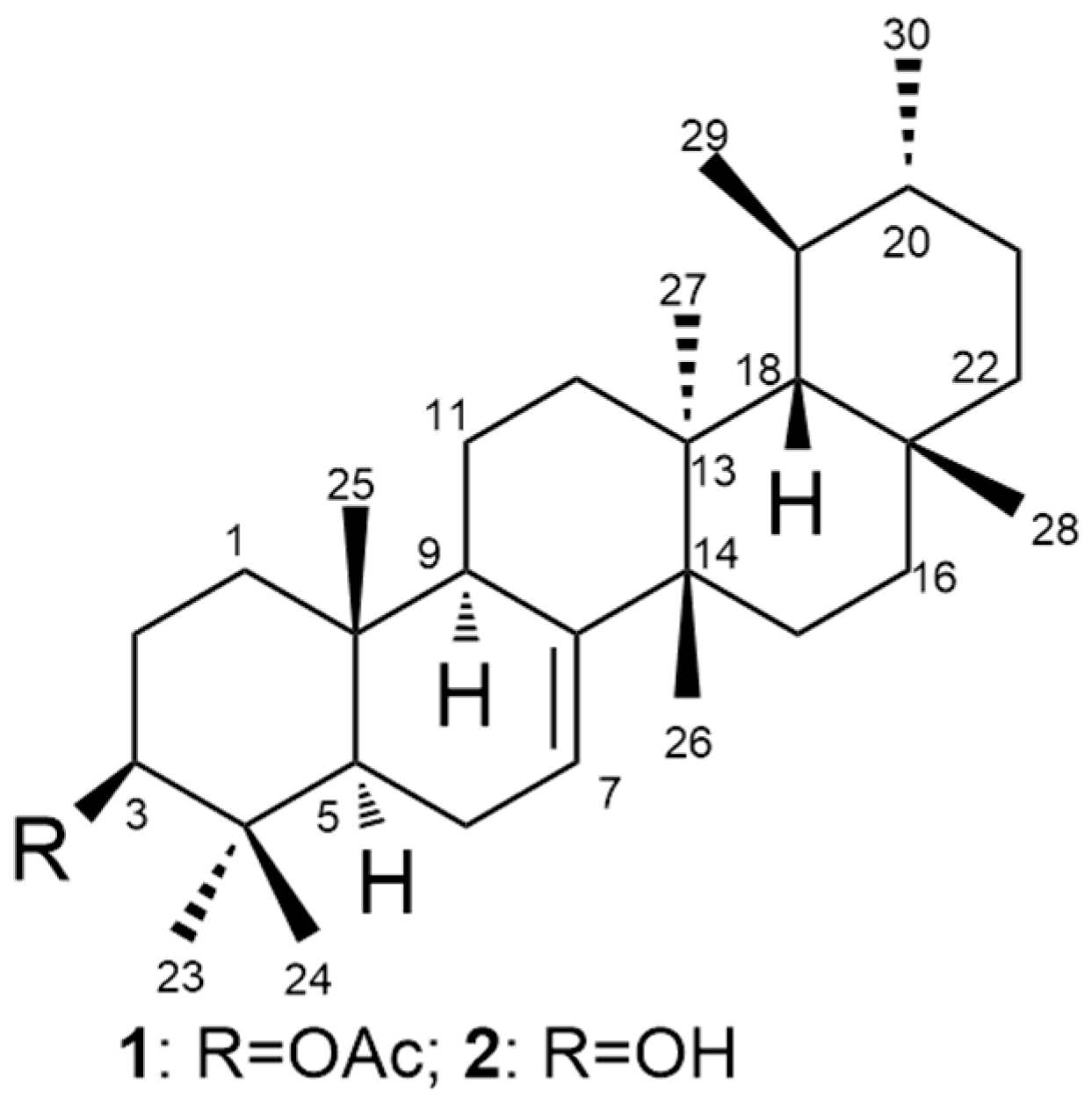Molecules 23 00355 g001