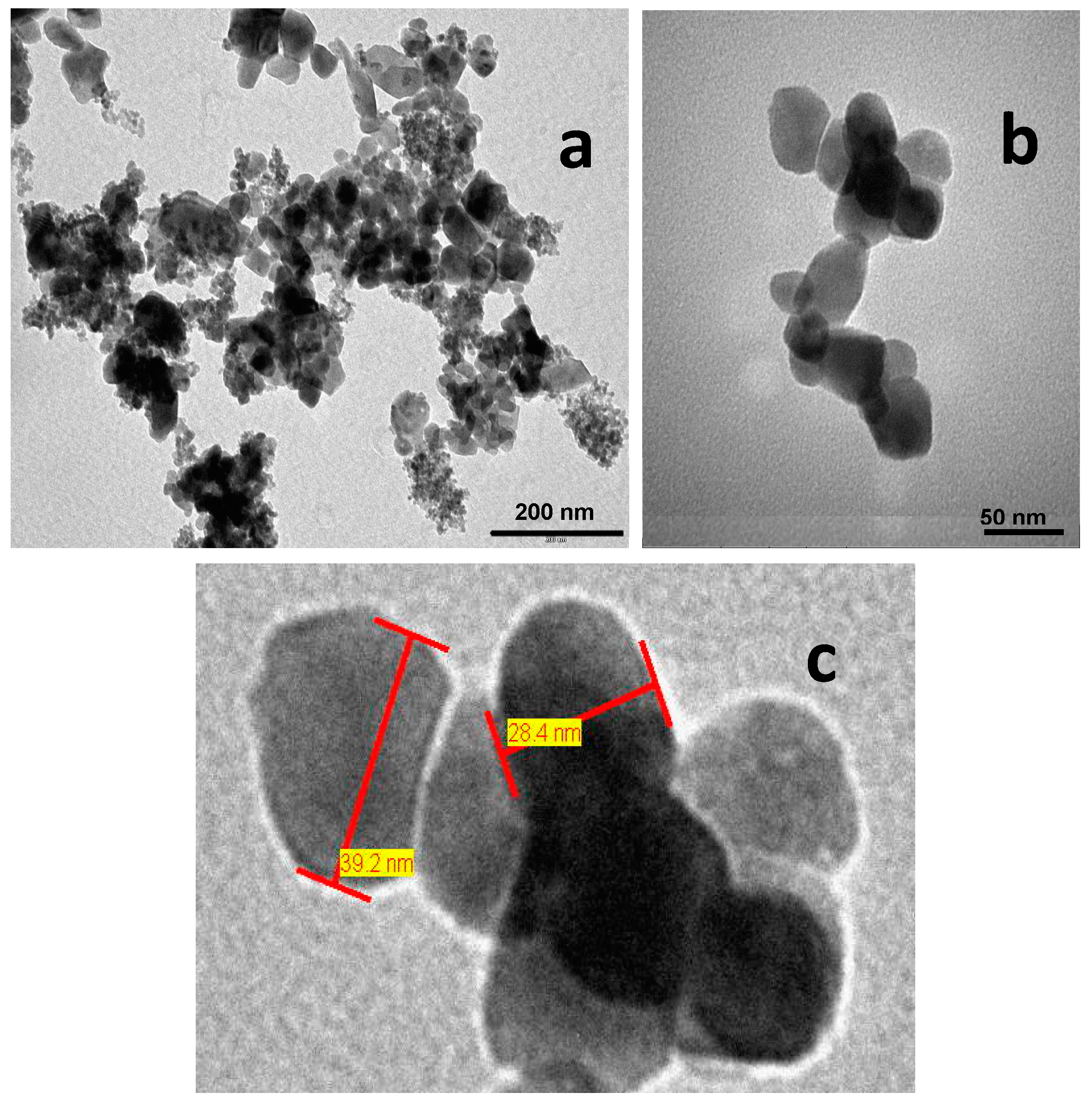 Molecules 23 00364 g005