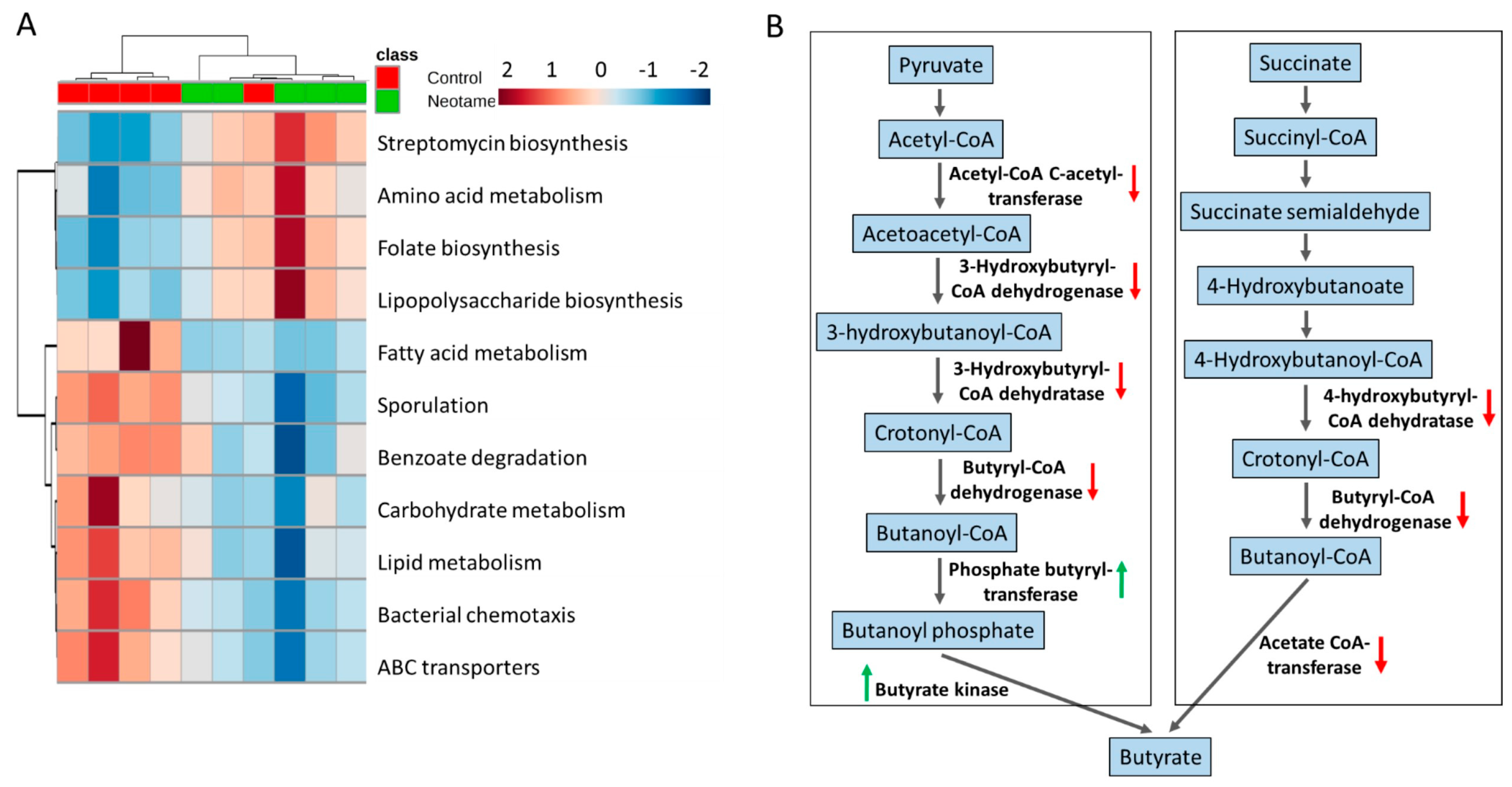 Molecules 23 00367 g003