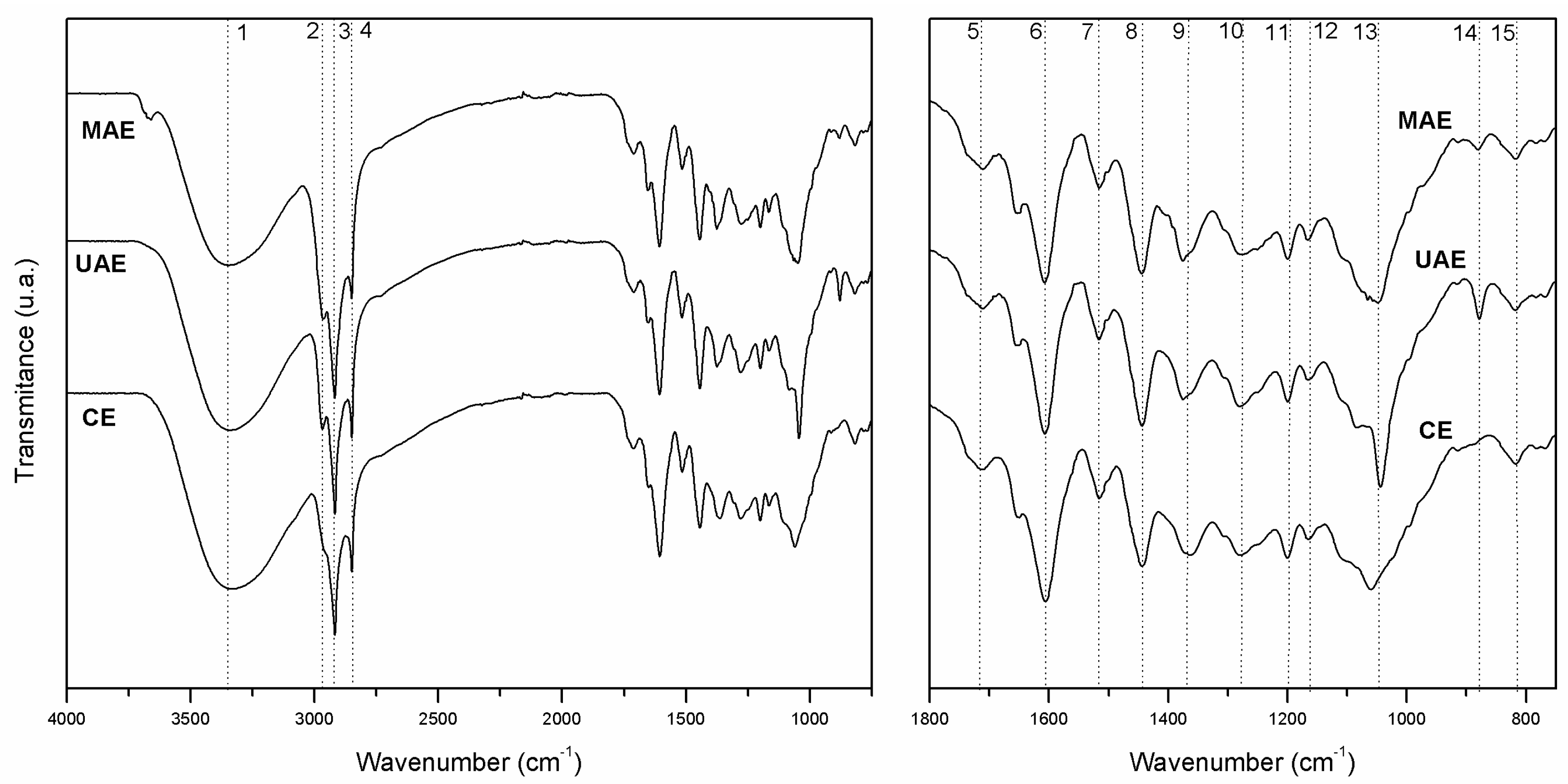Molecules 23 00372 g001