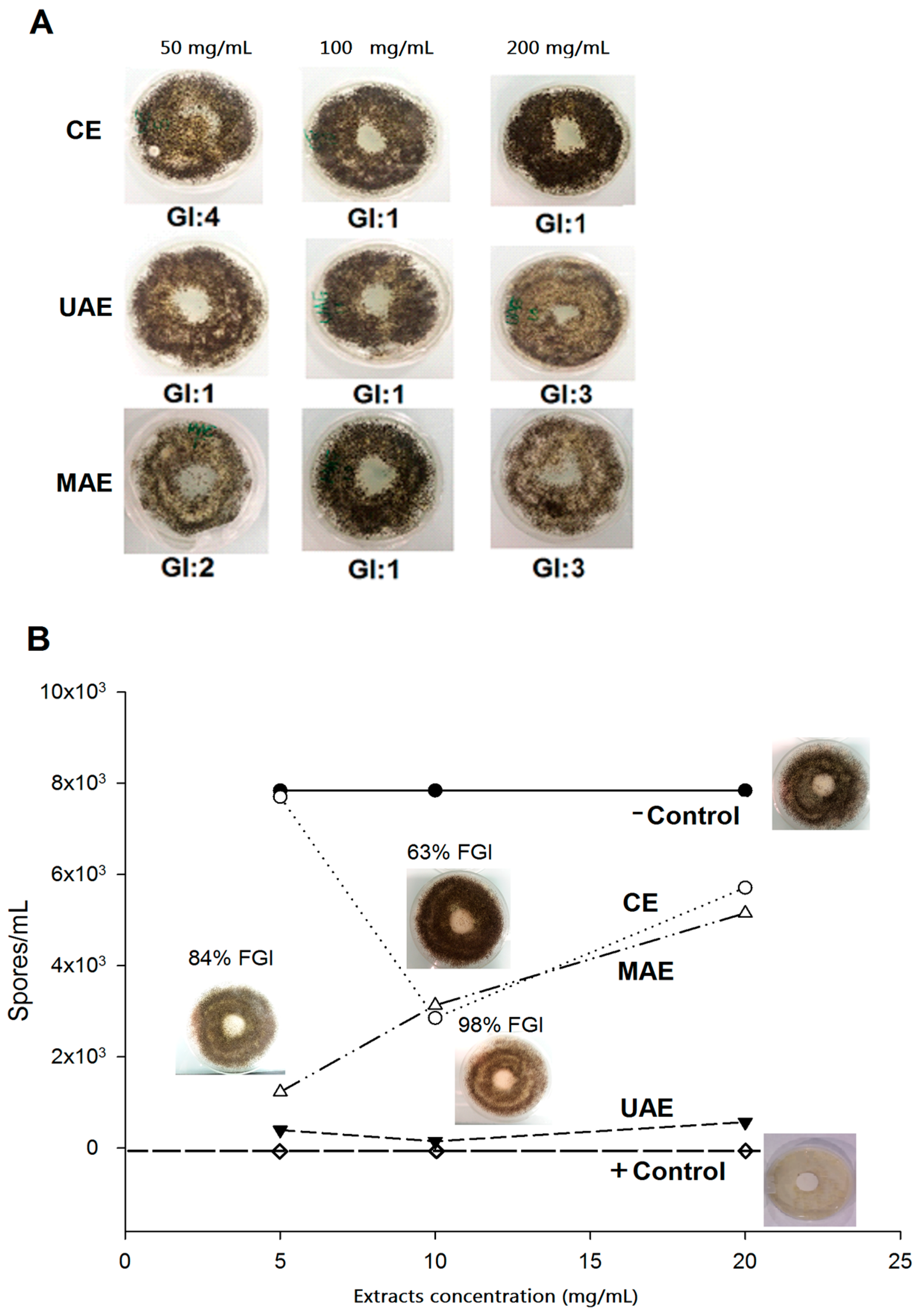 Molecules 23 00372 g005