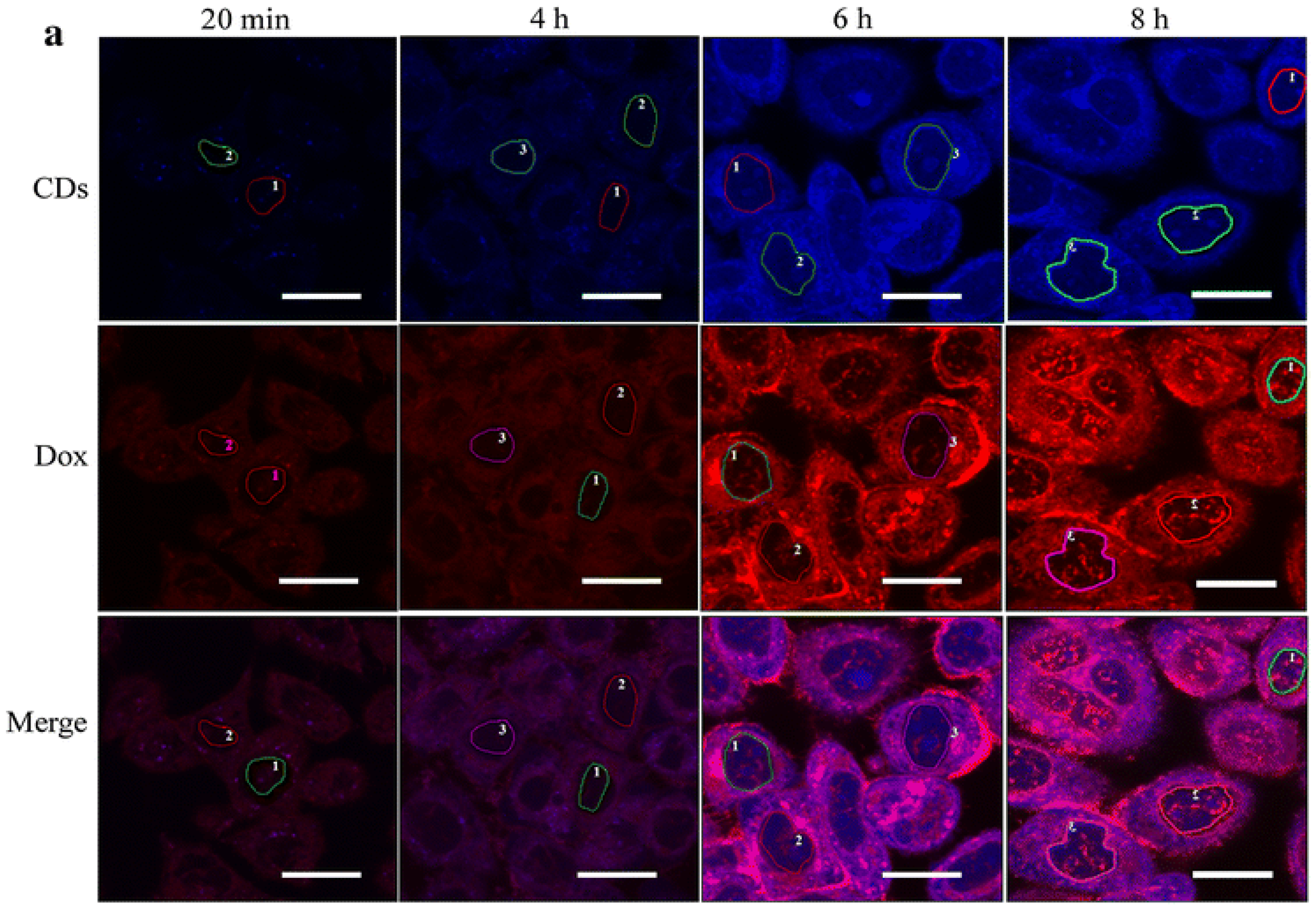 Molecules 23 00378 g001