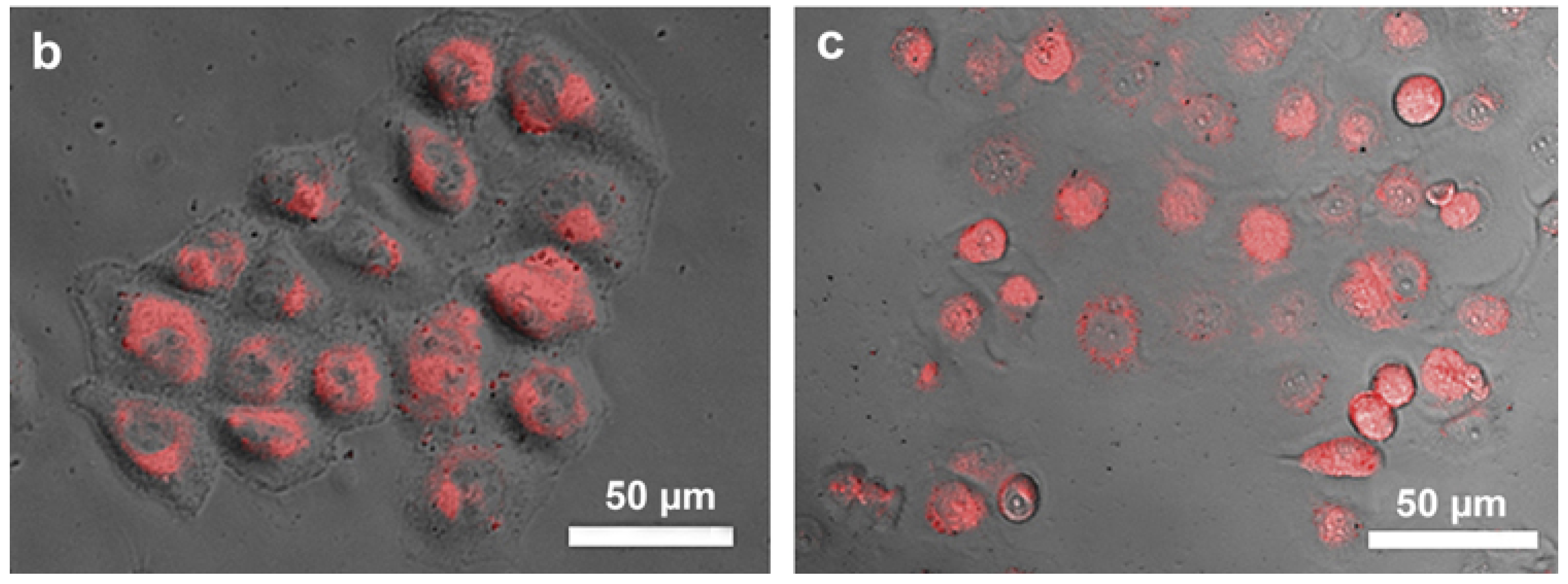 Molecules 23 00378 g003b