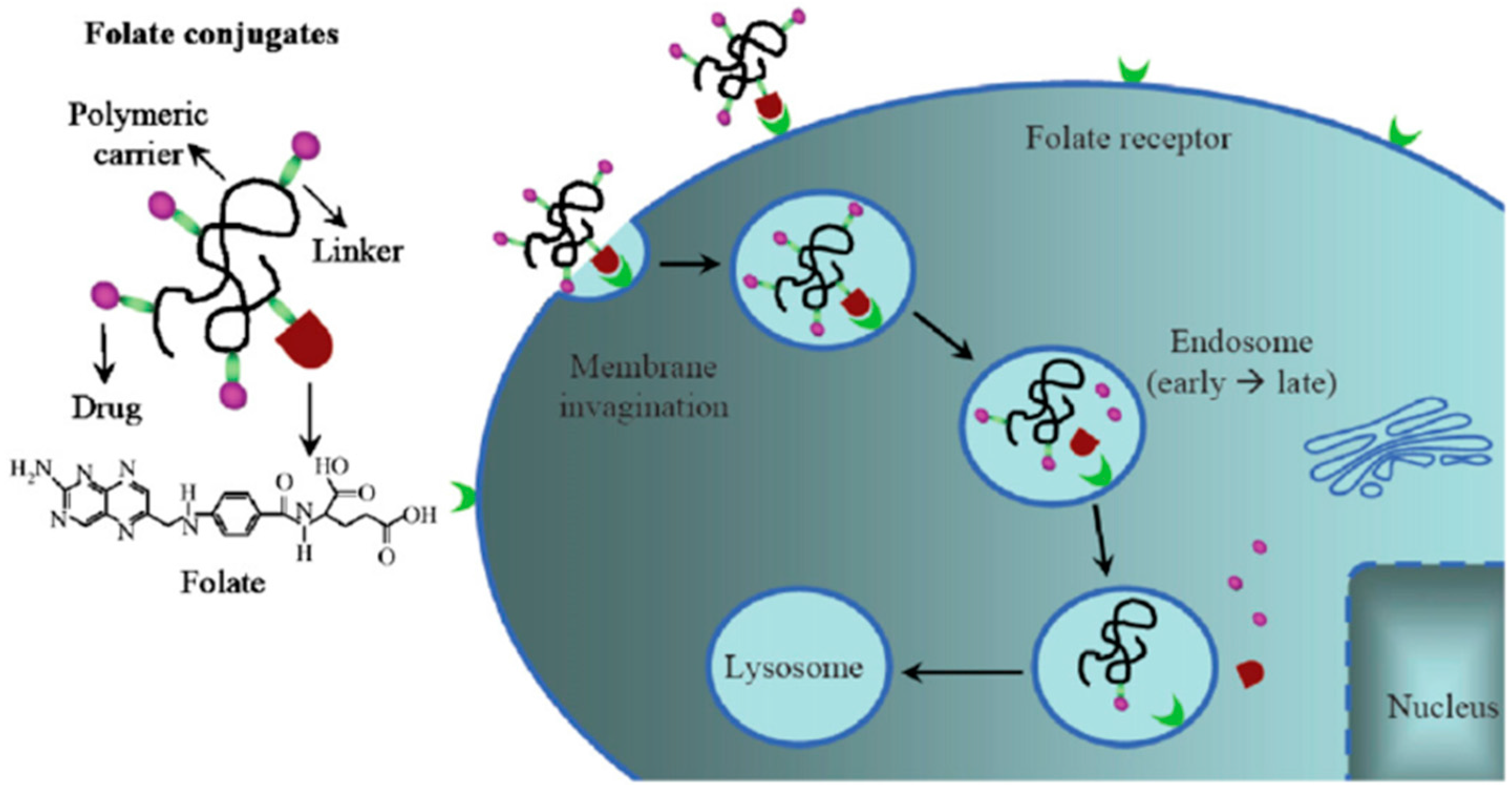 Molecules 23 00378 g006