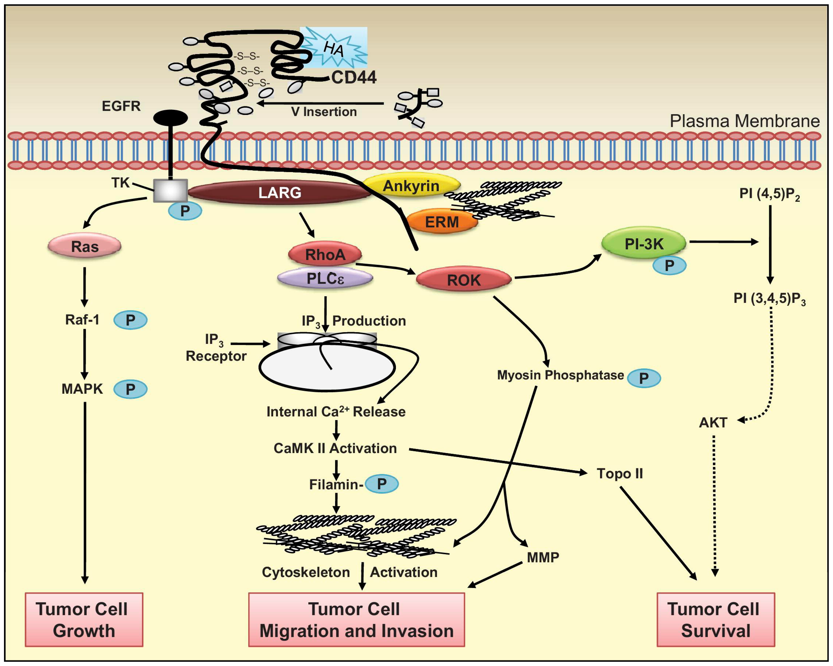 Molecules 23 00378 g007