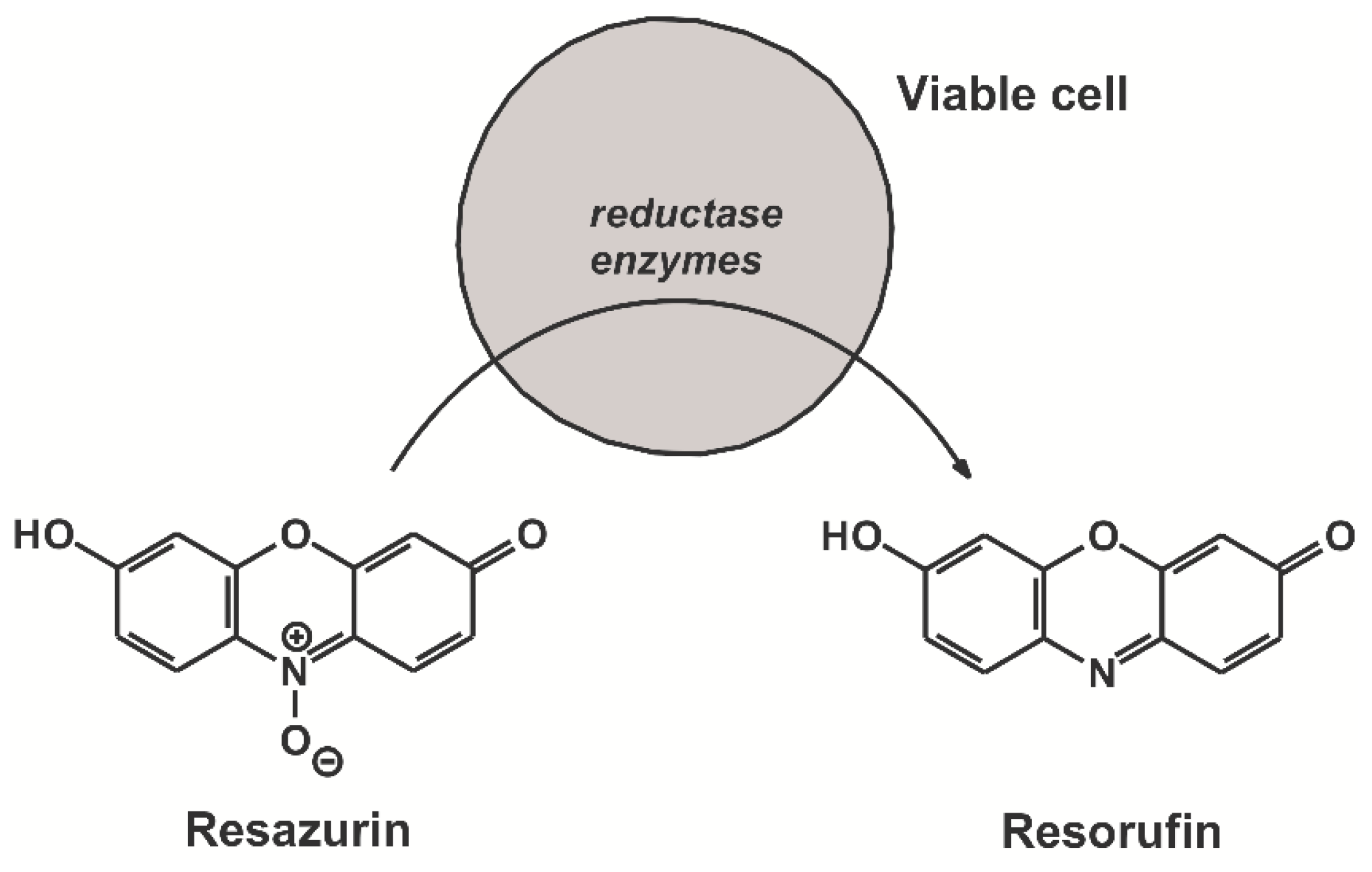 Molecules 23 00382 g001