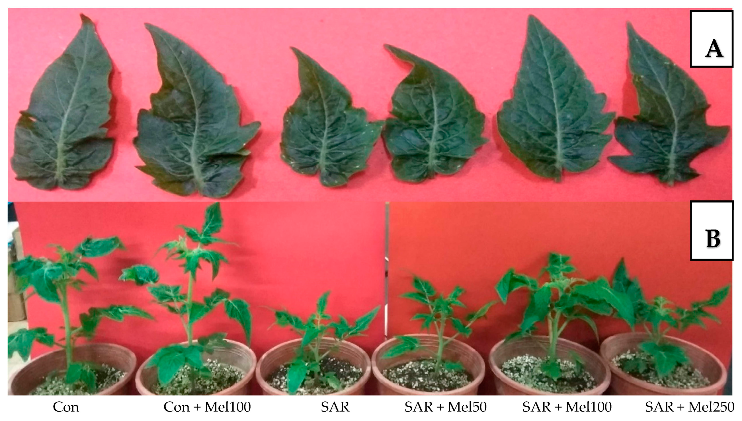 Molecules 23 00388 g002