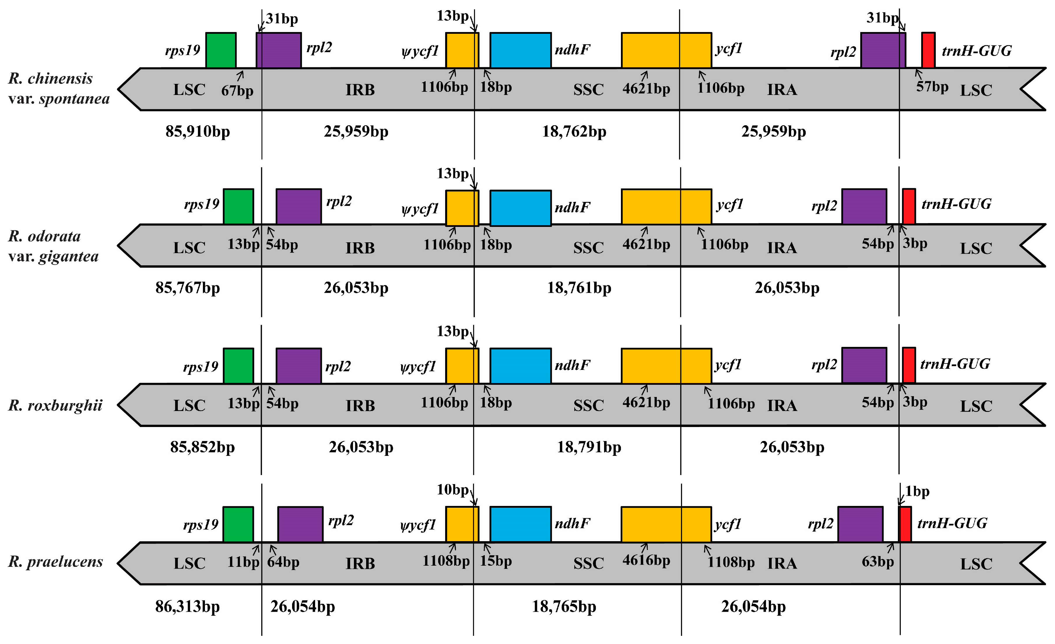 Molecules 23 00389 g003