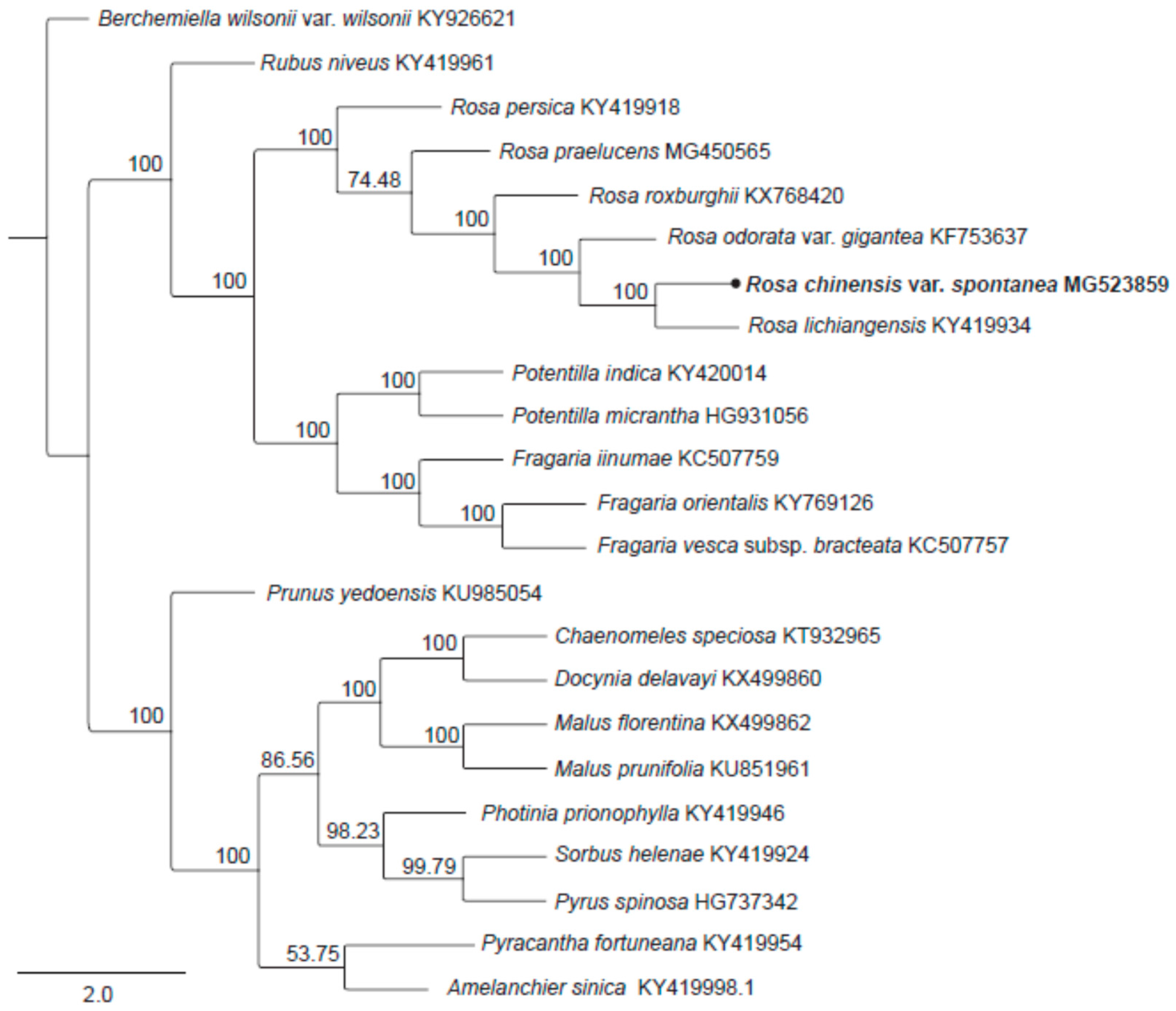 Molecules 23 00389 g004