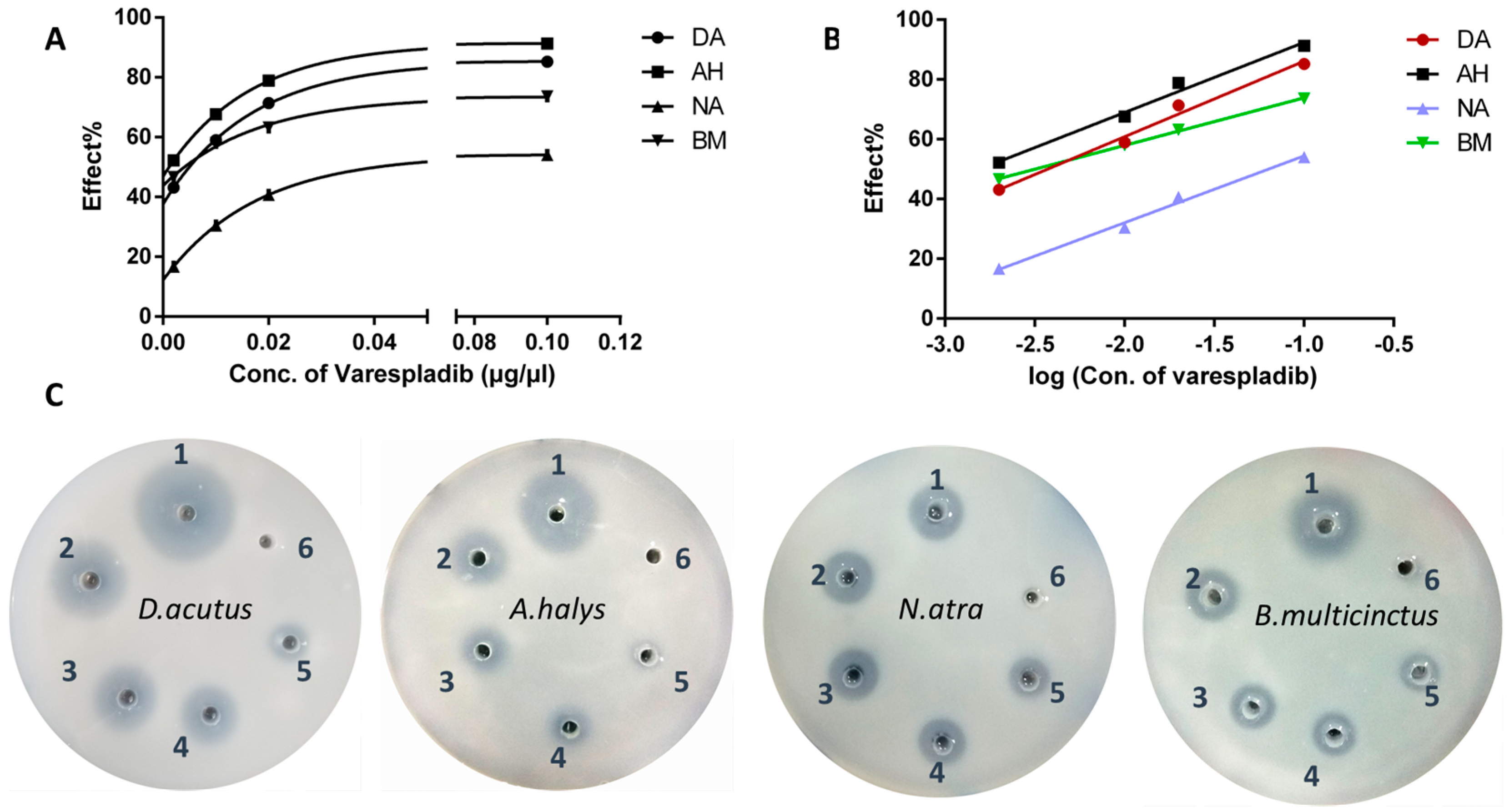 Molecules 23 00391 g001