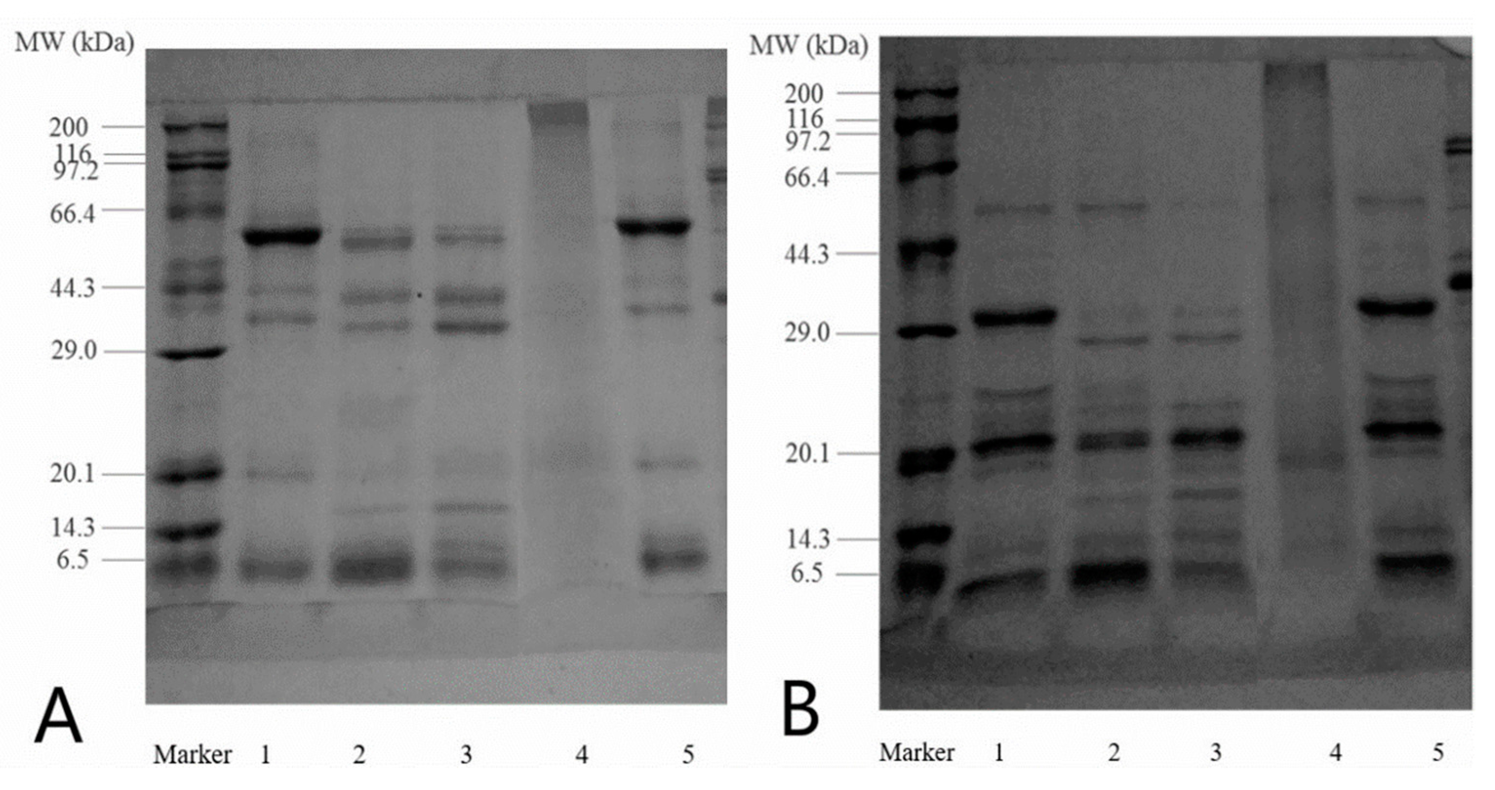Molecules 23 00393 g001