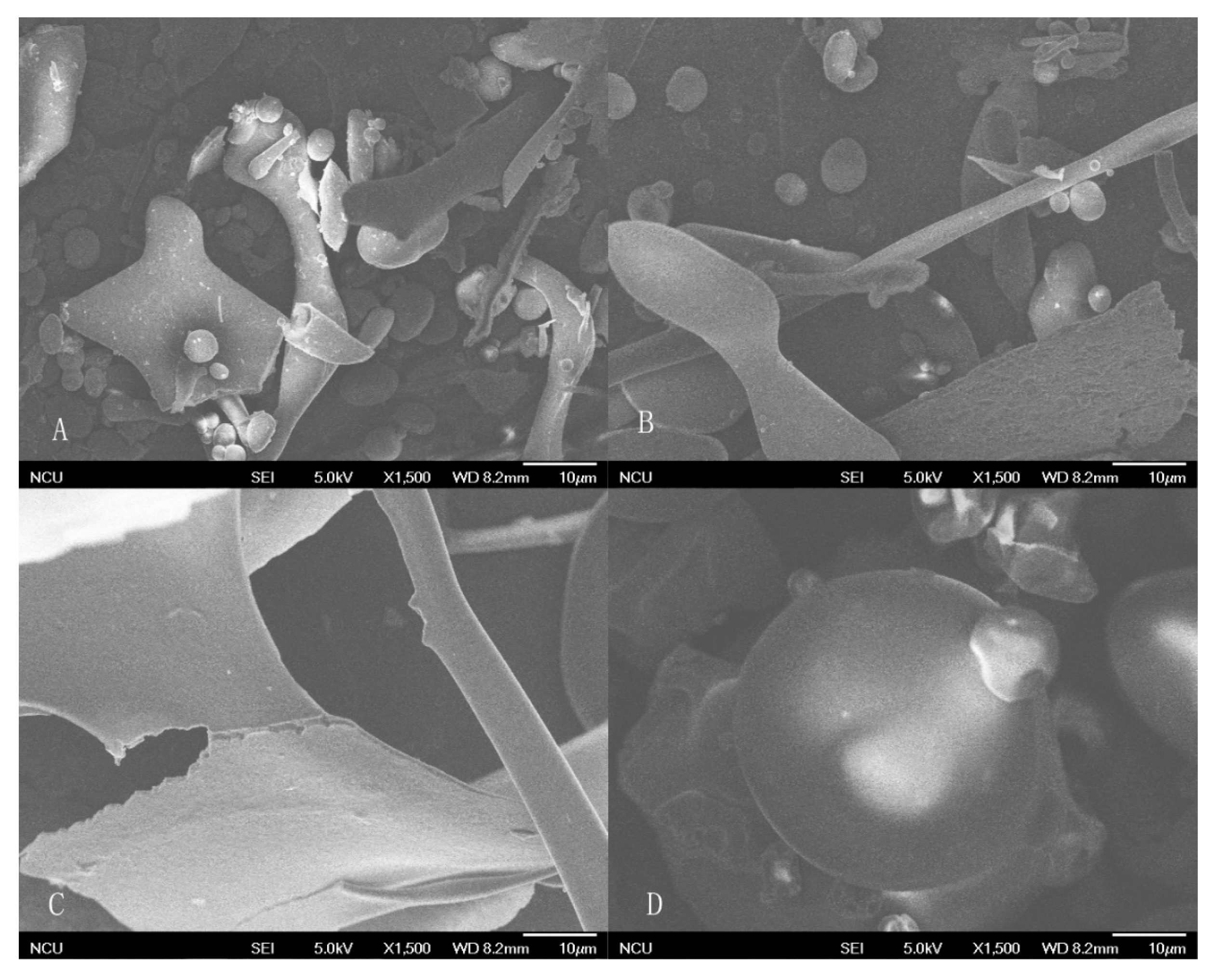 Molecules 23 00393 g003