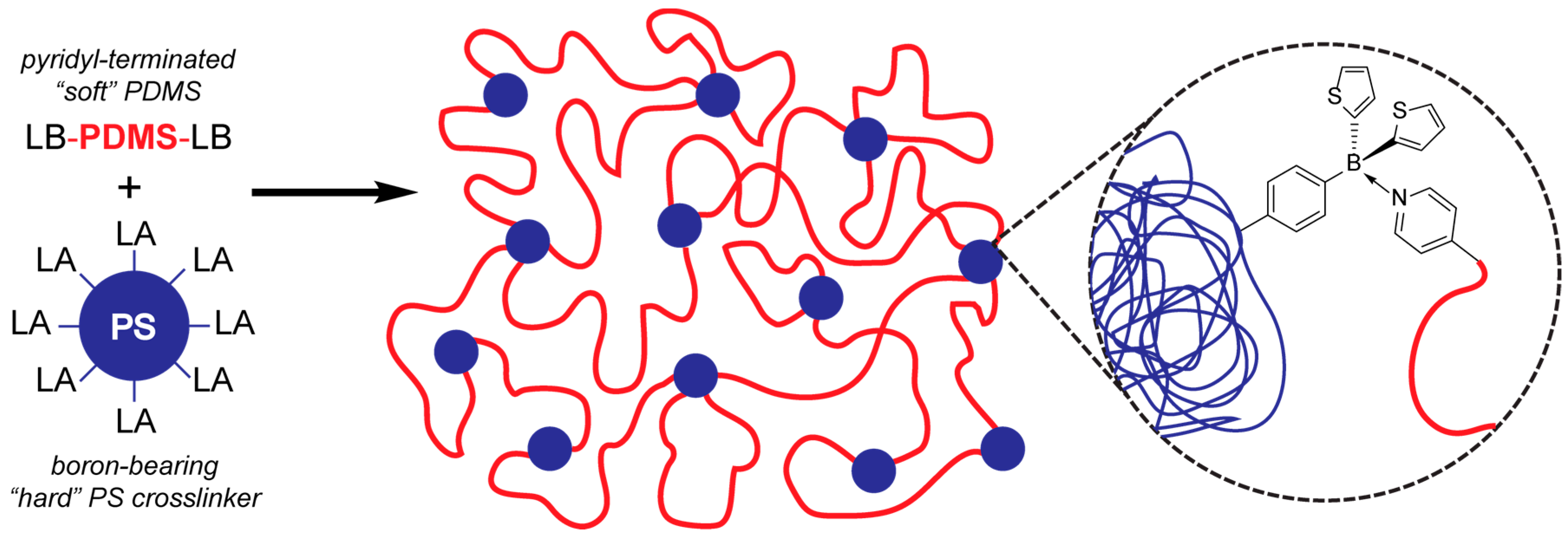 Molecules 23 00405 g001