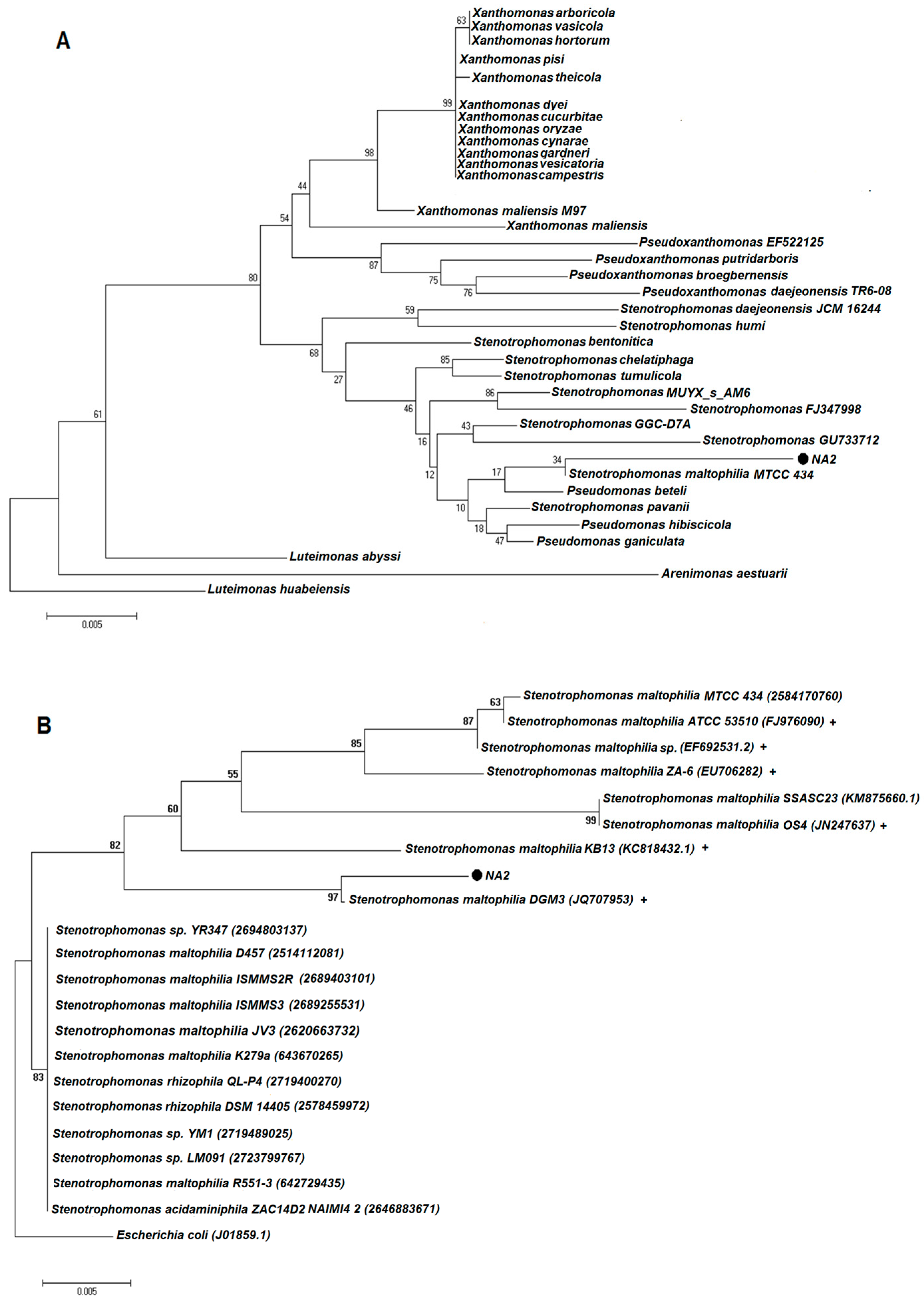 Molecules 23 00406 g002