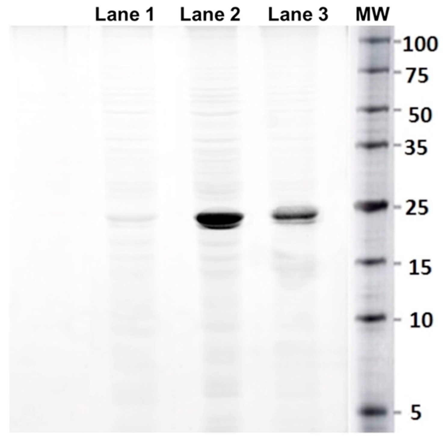 Molecules 23 00406 g005