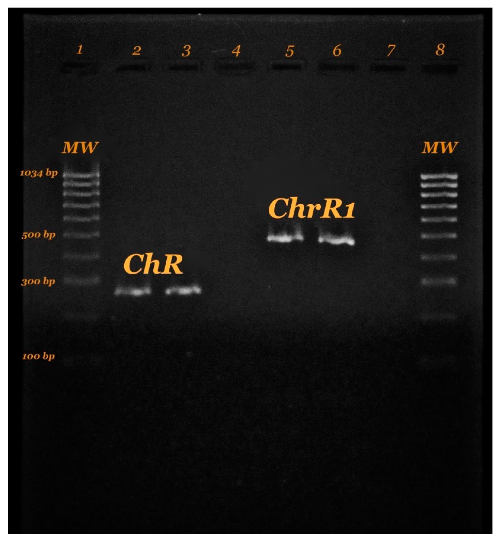 Molecules 23 00406 g006