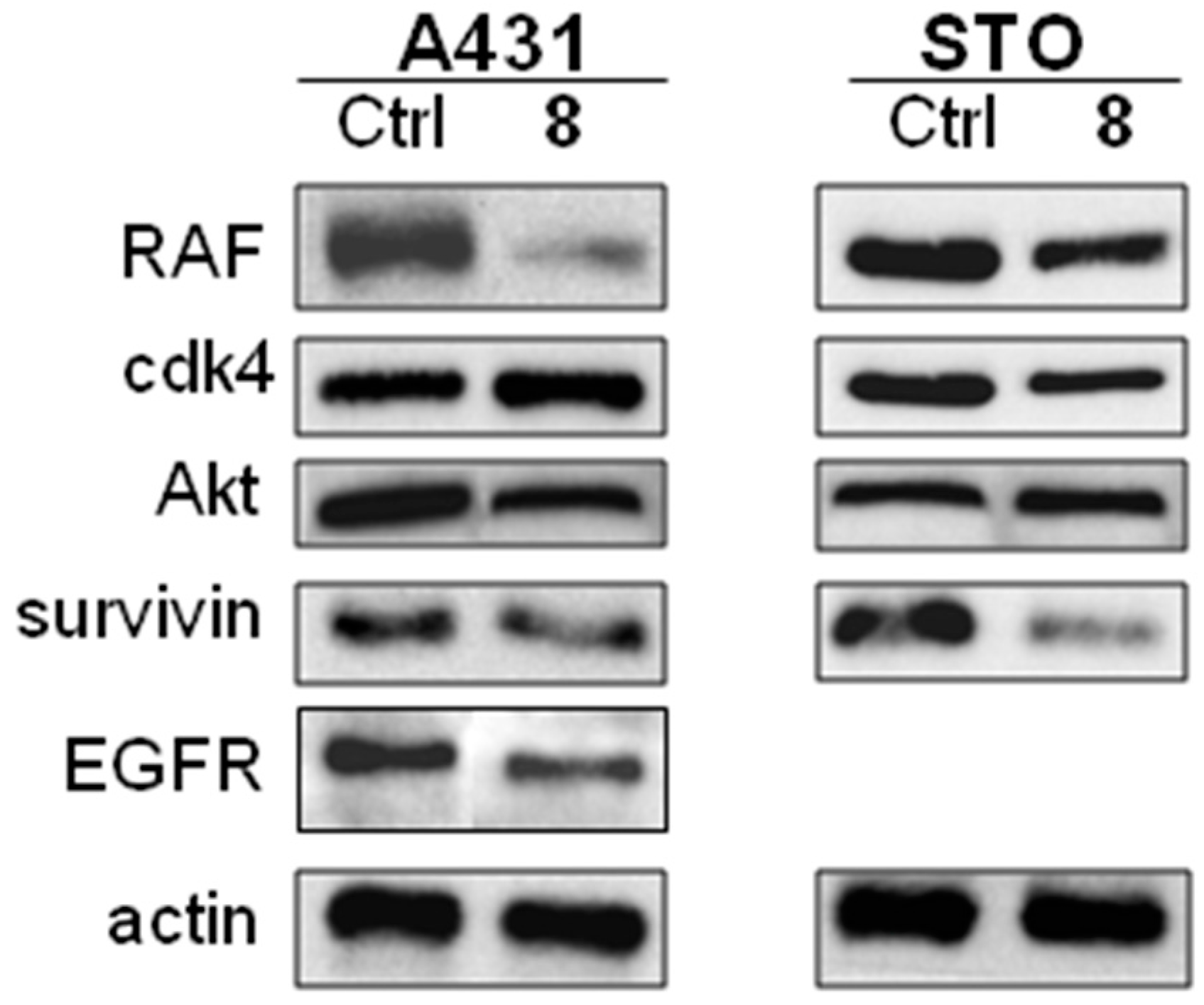 Molecules 23 00407 g005