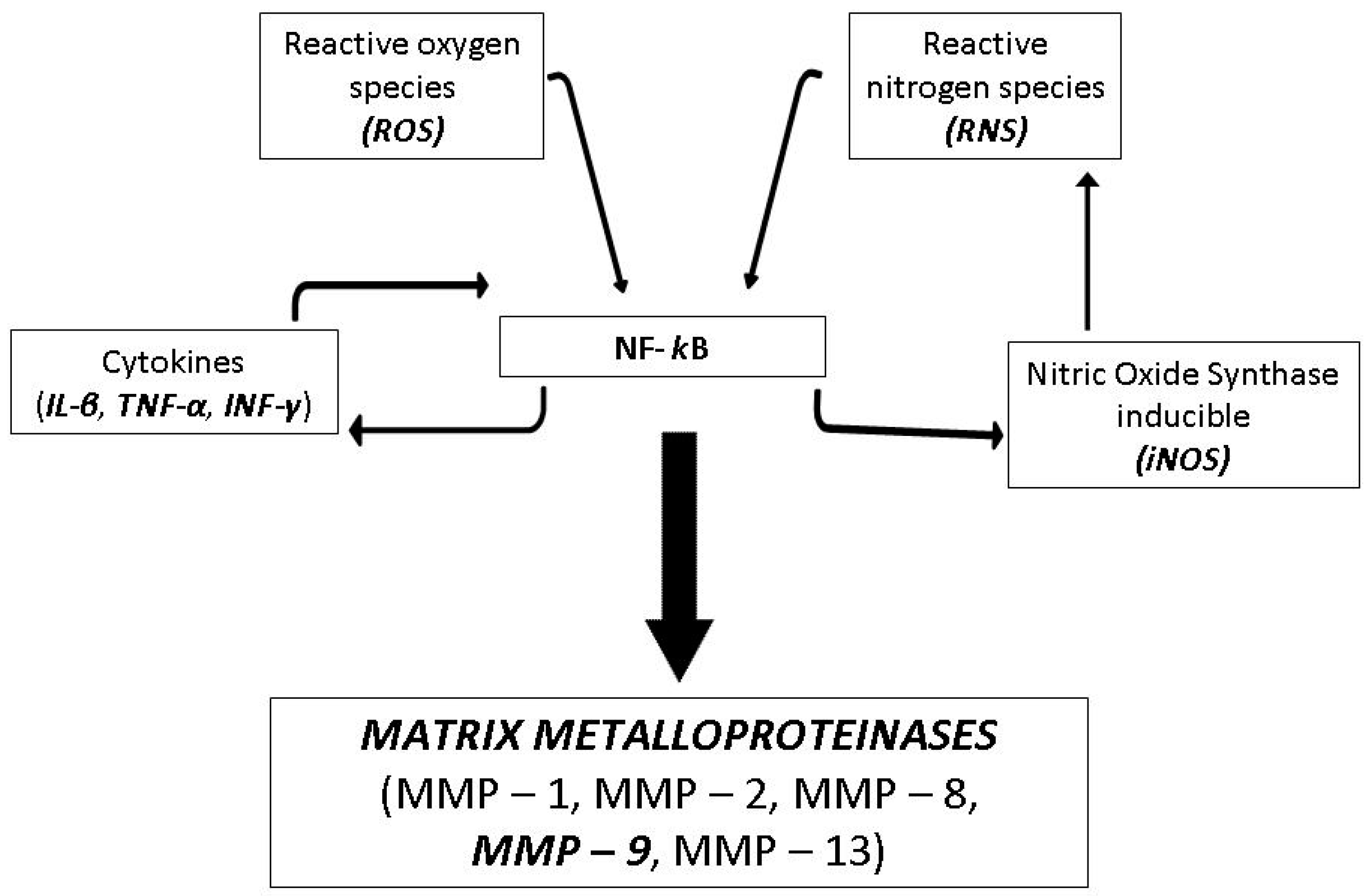 Molecules 23 00415 g001