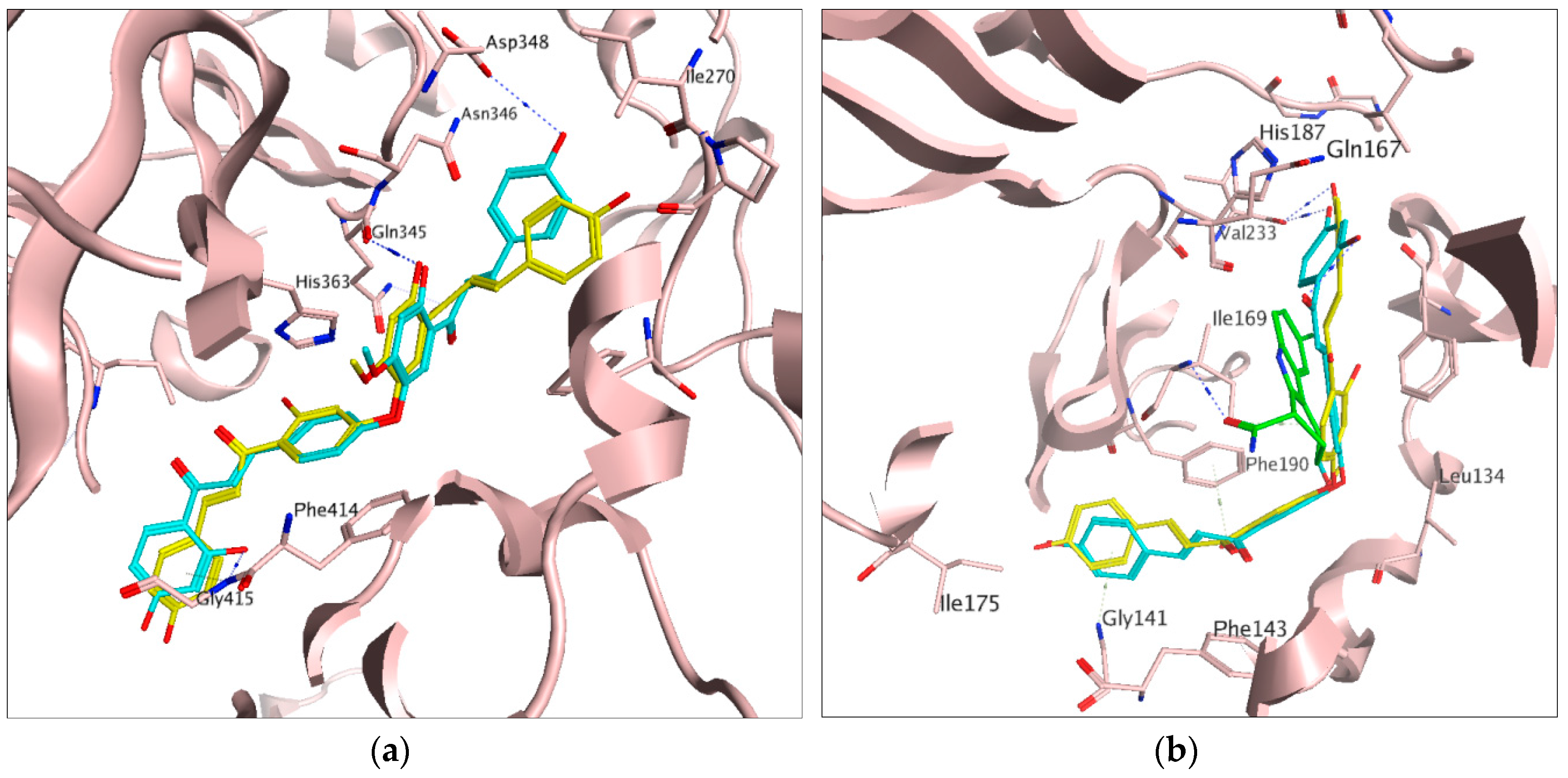 Molecules 23 00416 g003