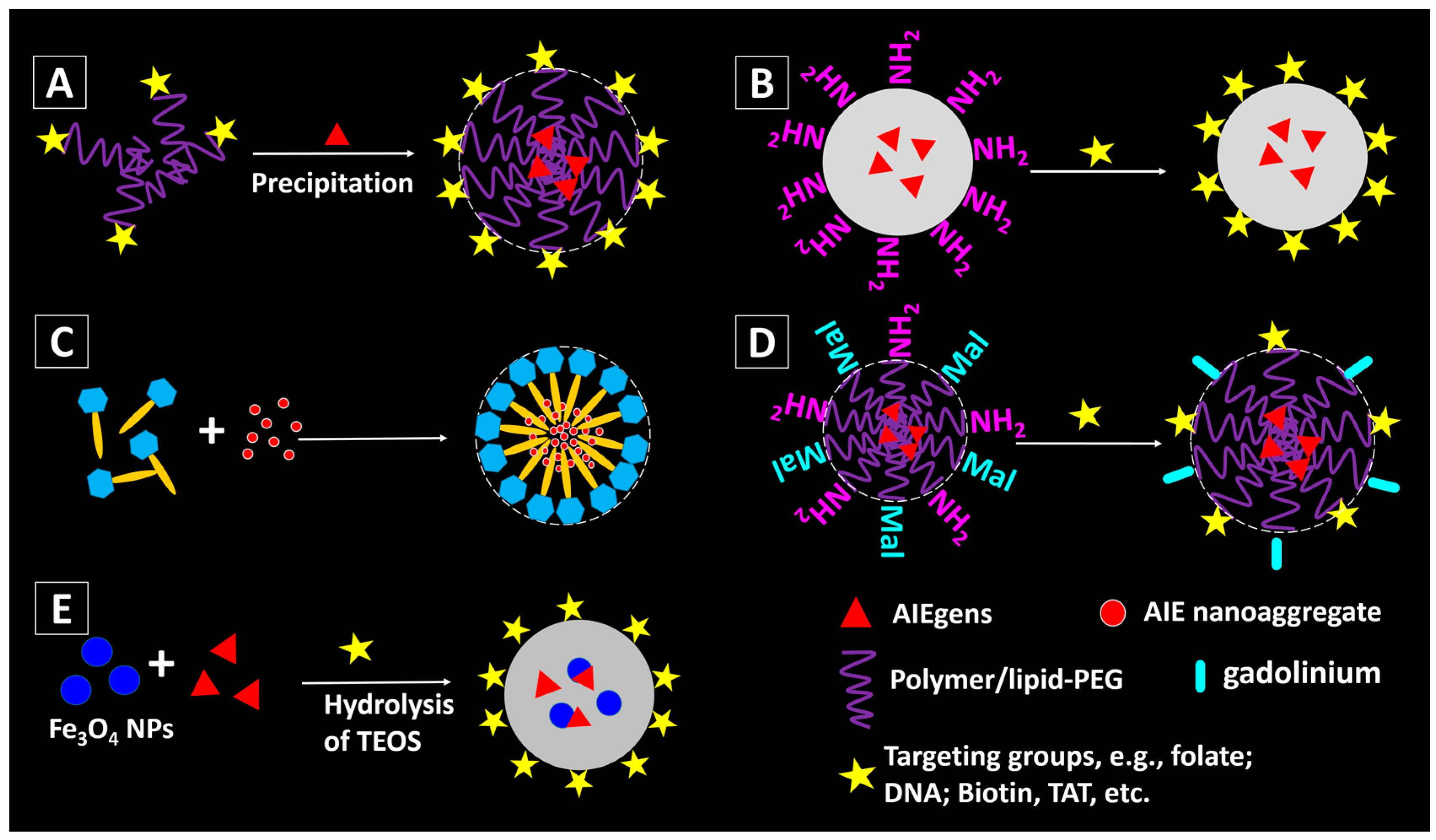 Molecules 23 00419 g004