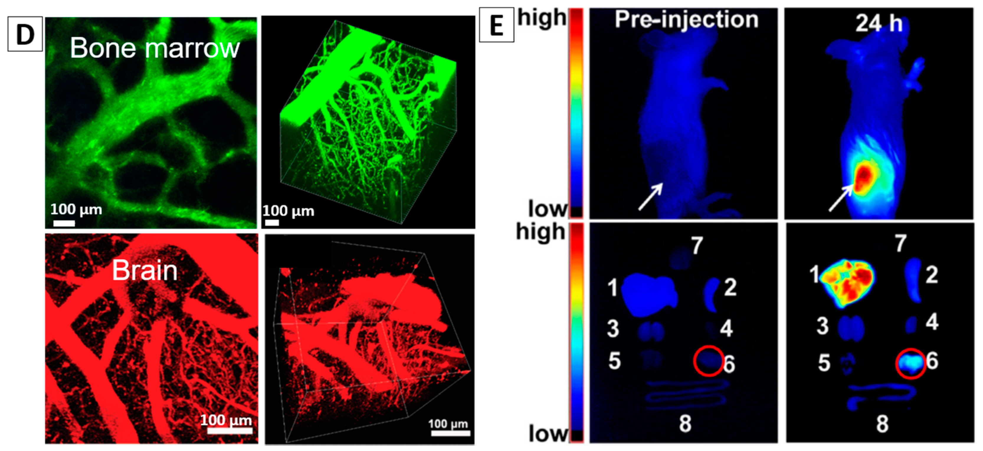 Molecules 23 00419 g005b