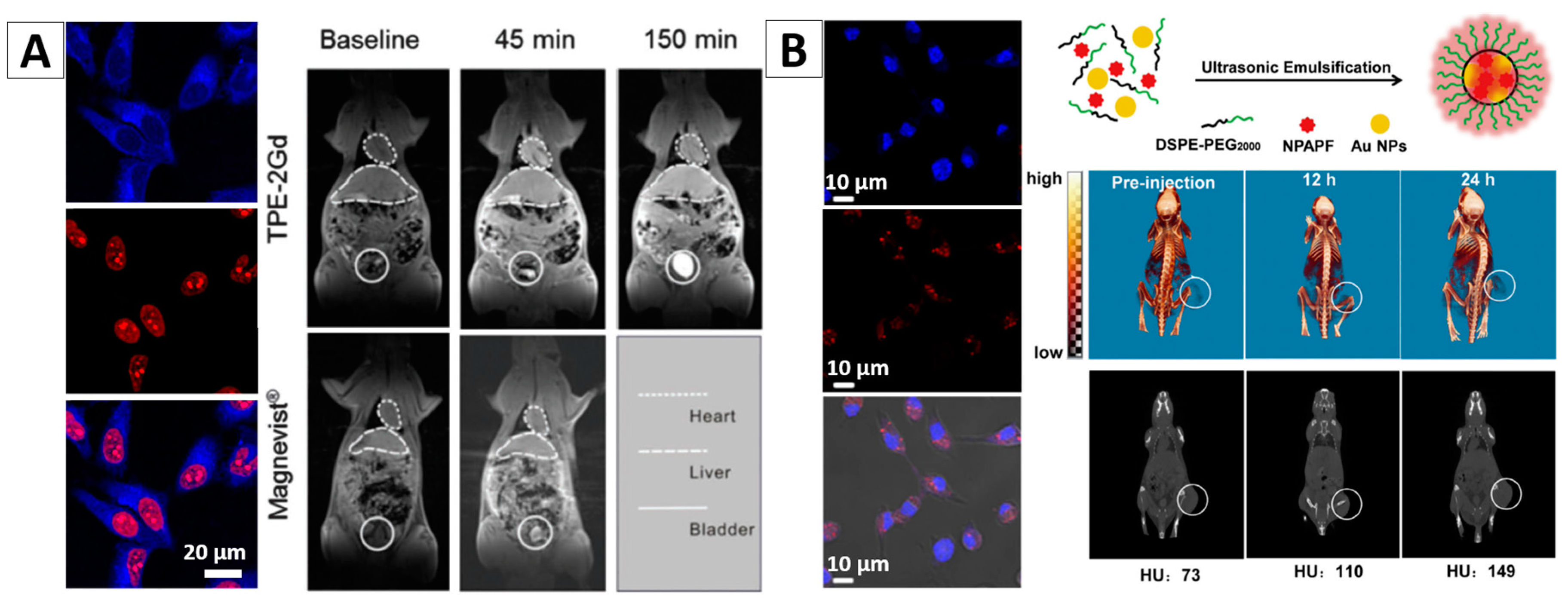 Molecules 23 00419 g006