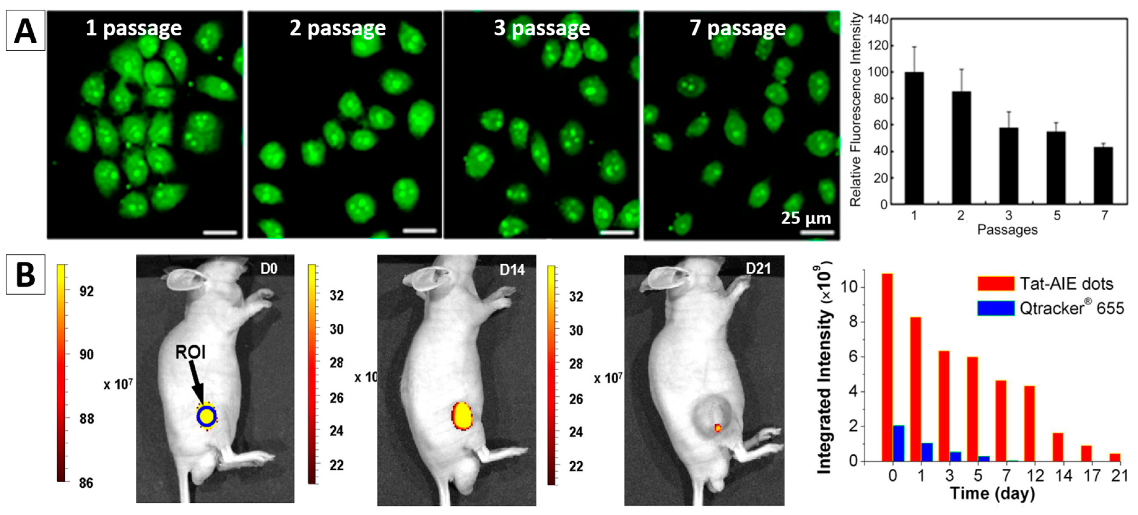 Molecules 23 00419 g007a