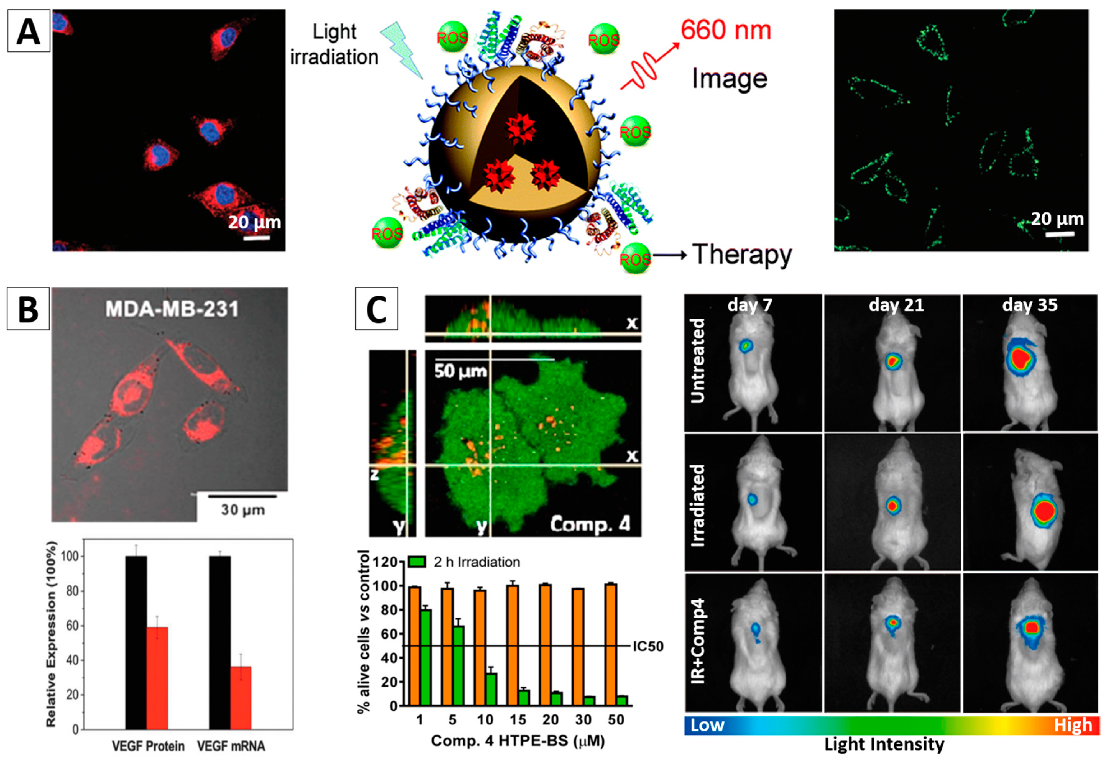 Molecules 23 00419 g008