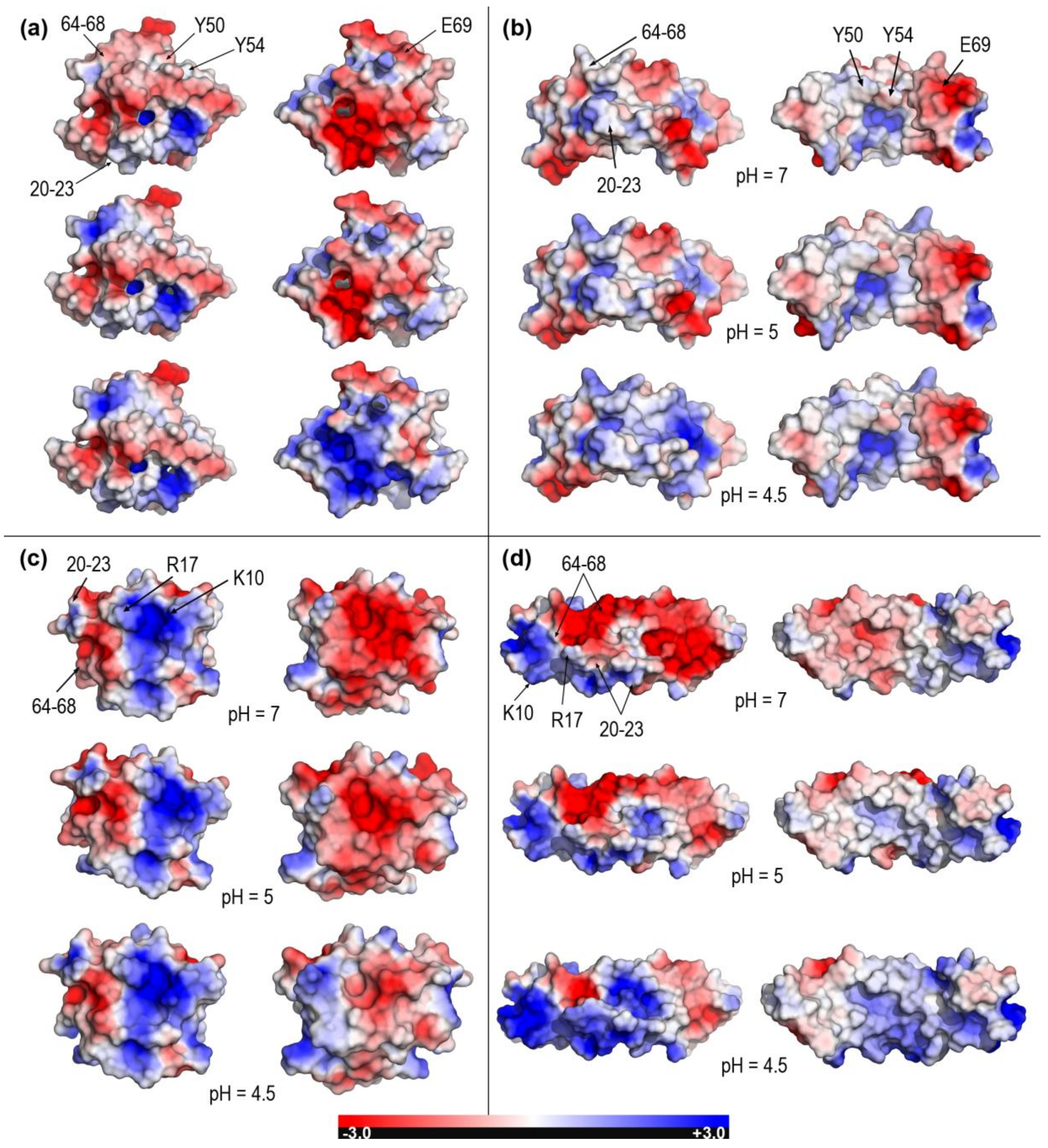 Molecules 23 00422 g005