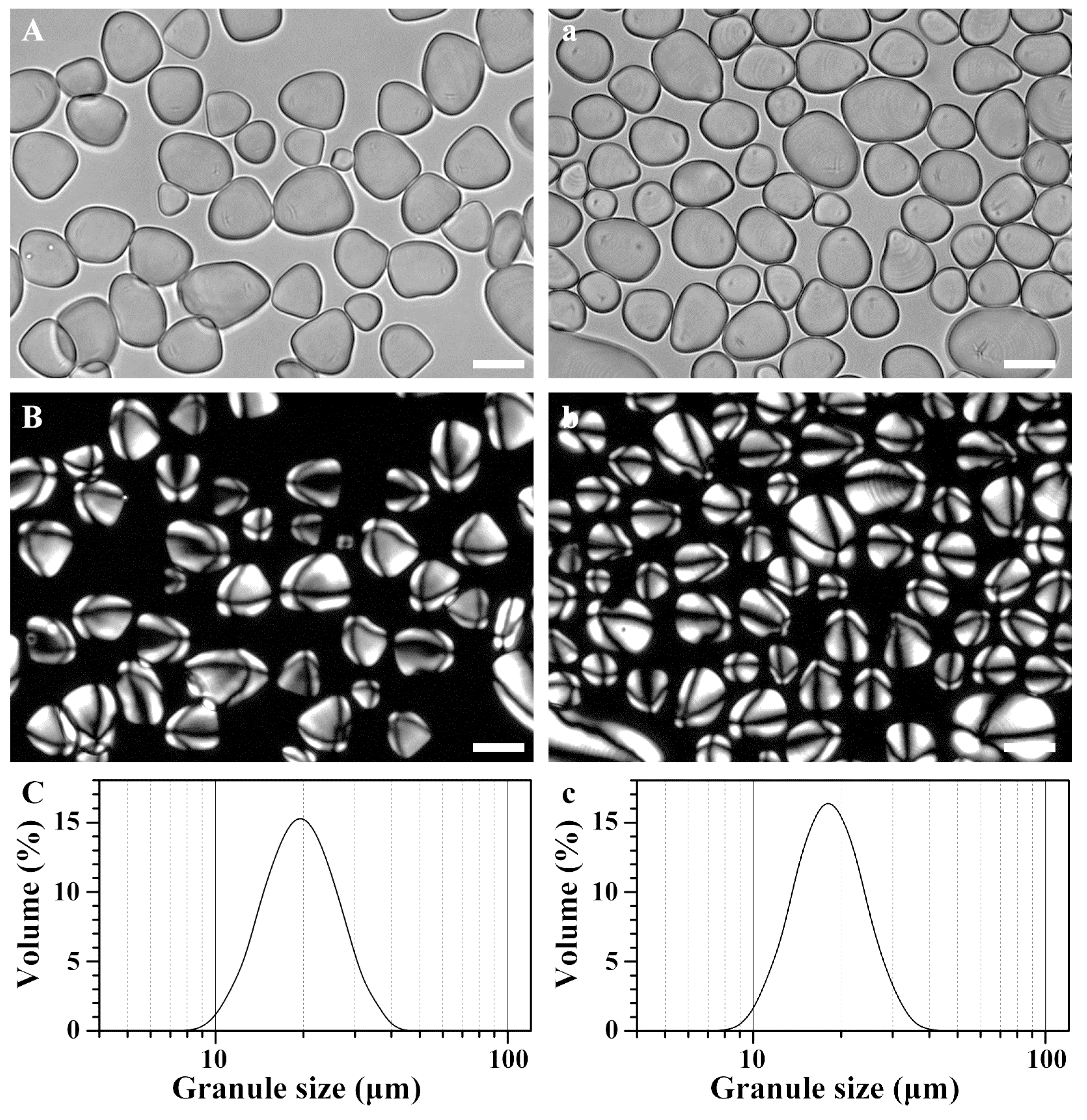 Molecules 23 00427 g001