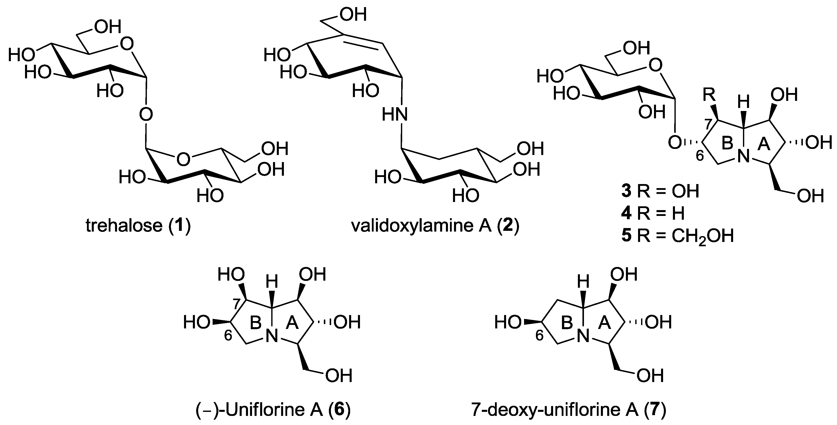 Molecules 23 00436 g001
