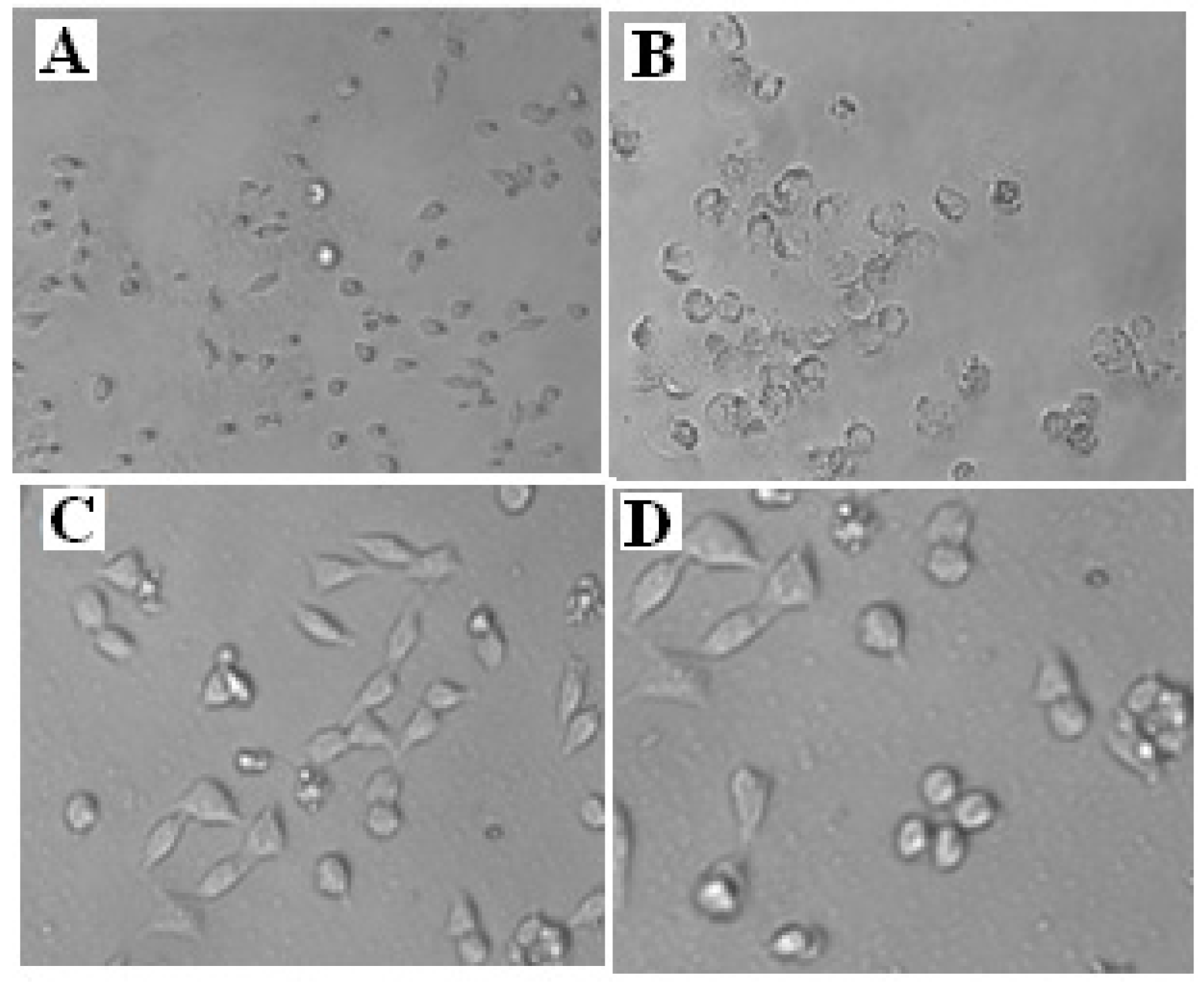 Molecules 23 00440 g004 Molecules 23 00440 g004