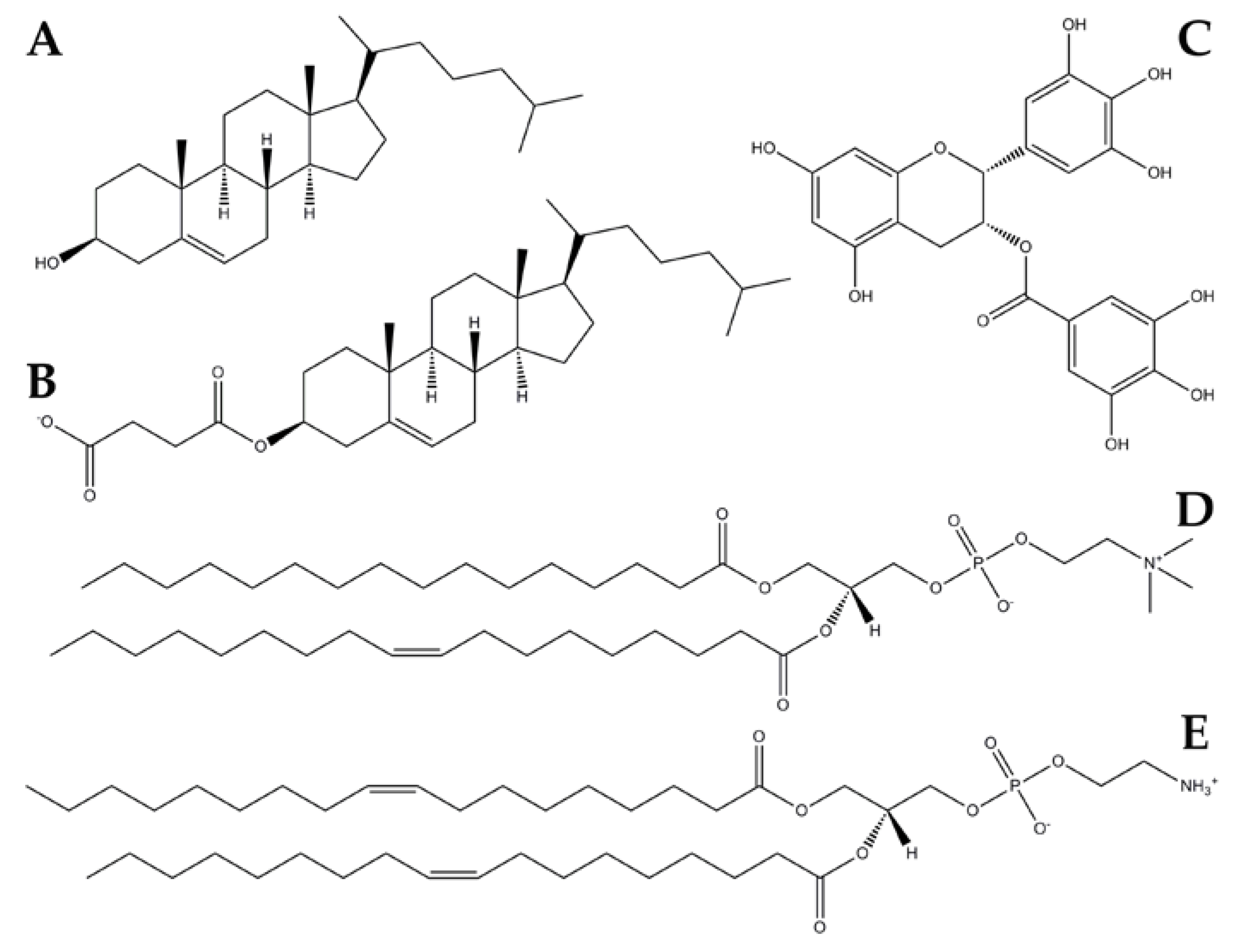 Molecules 23 00441 g001