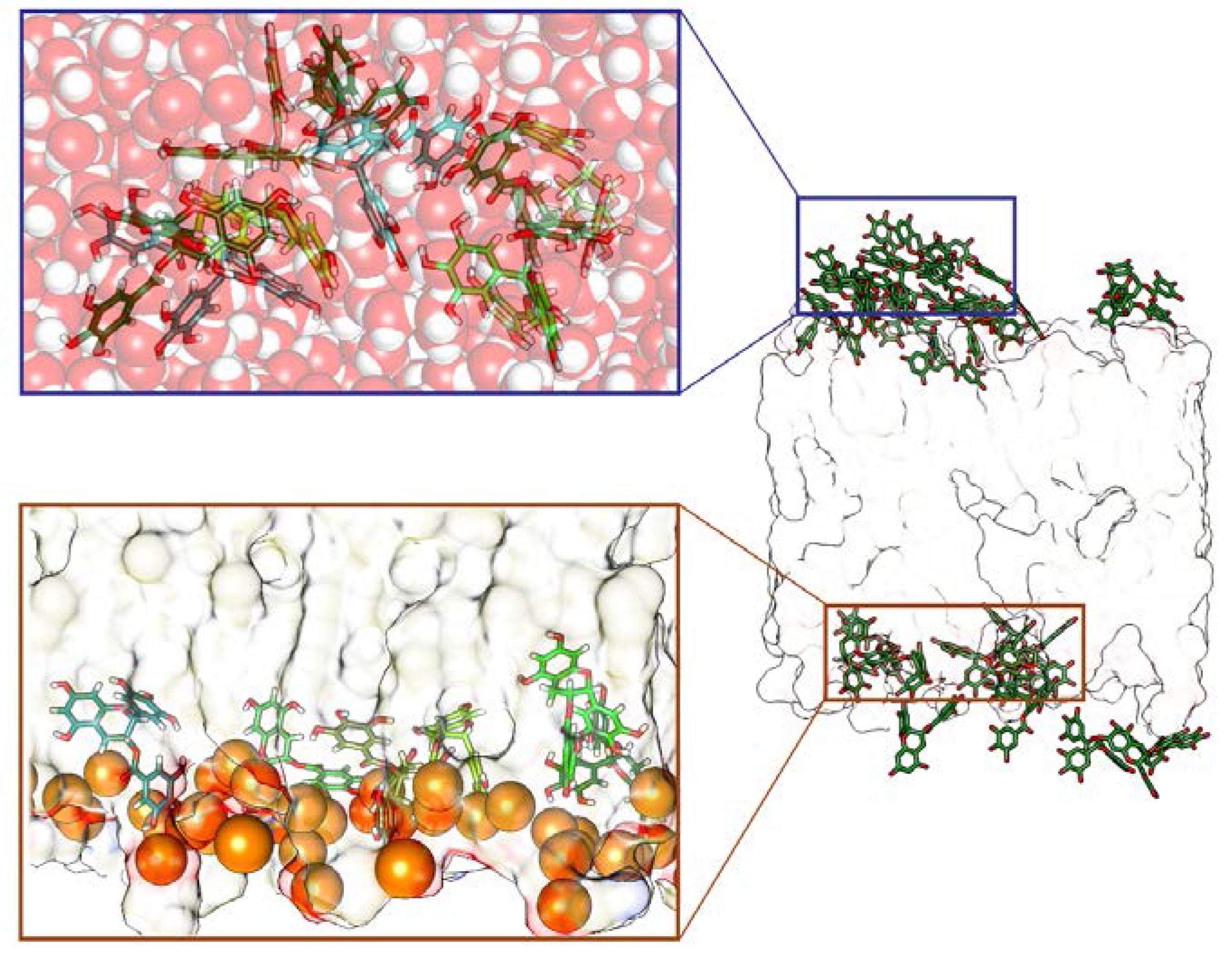 Molecules 23 00441 g002