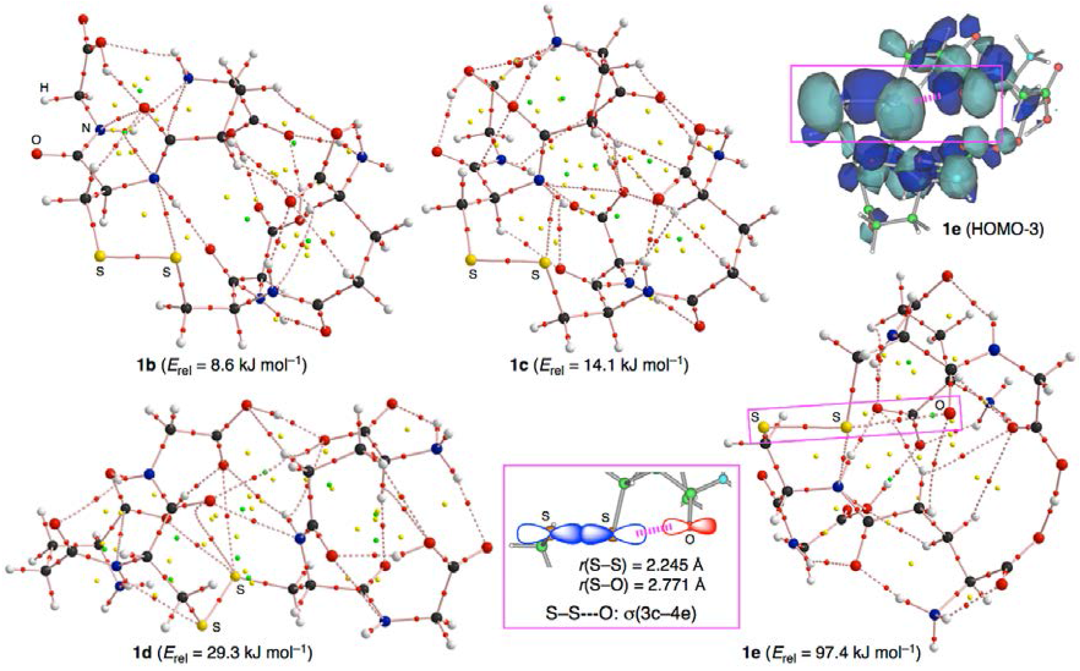 Molecules 23 00443 g004