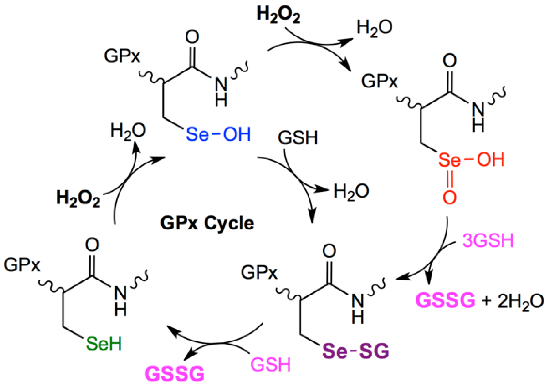 Molecules 23 00443 sch001