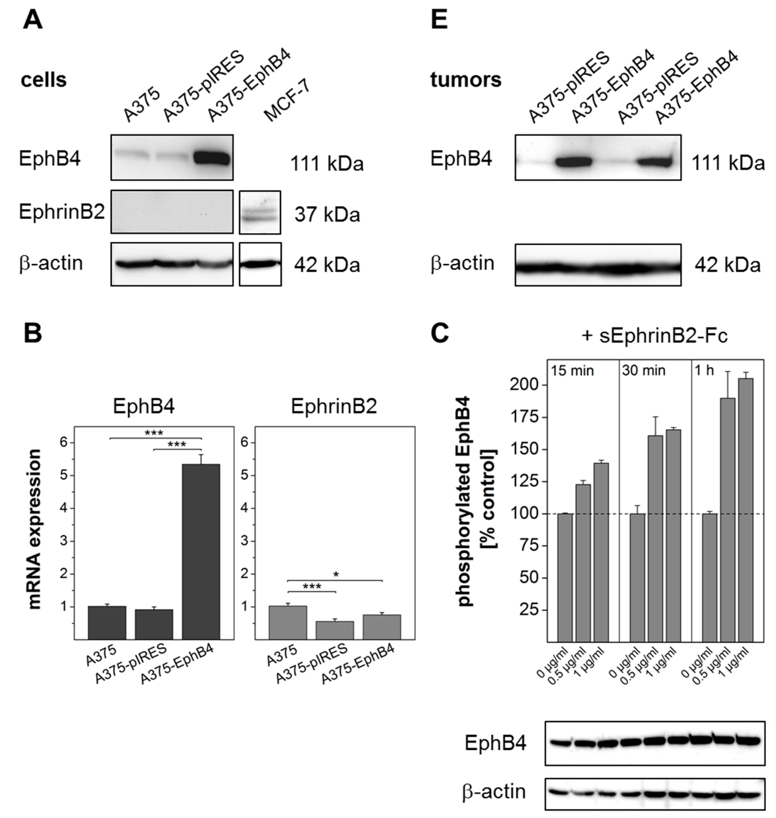 Molecules 23 00444 g001a