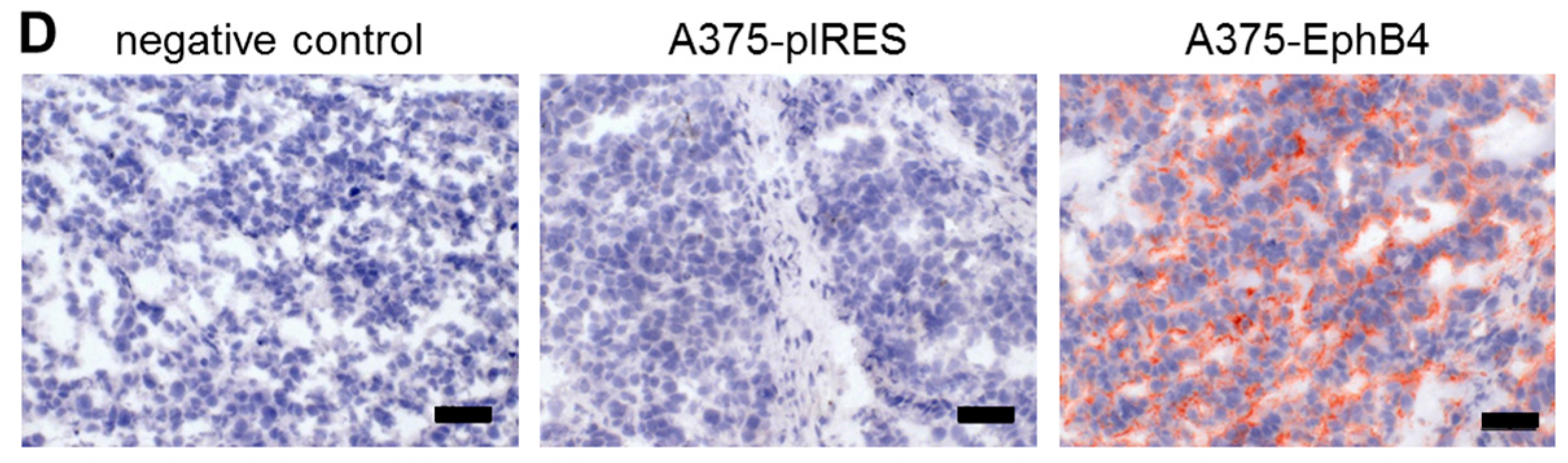 Molecules 23 00444 g001b