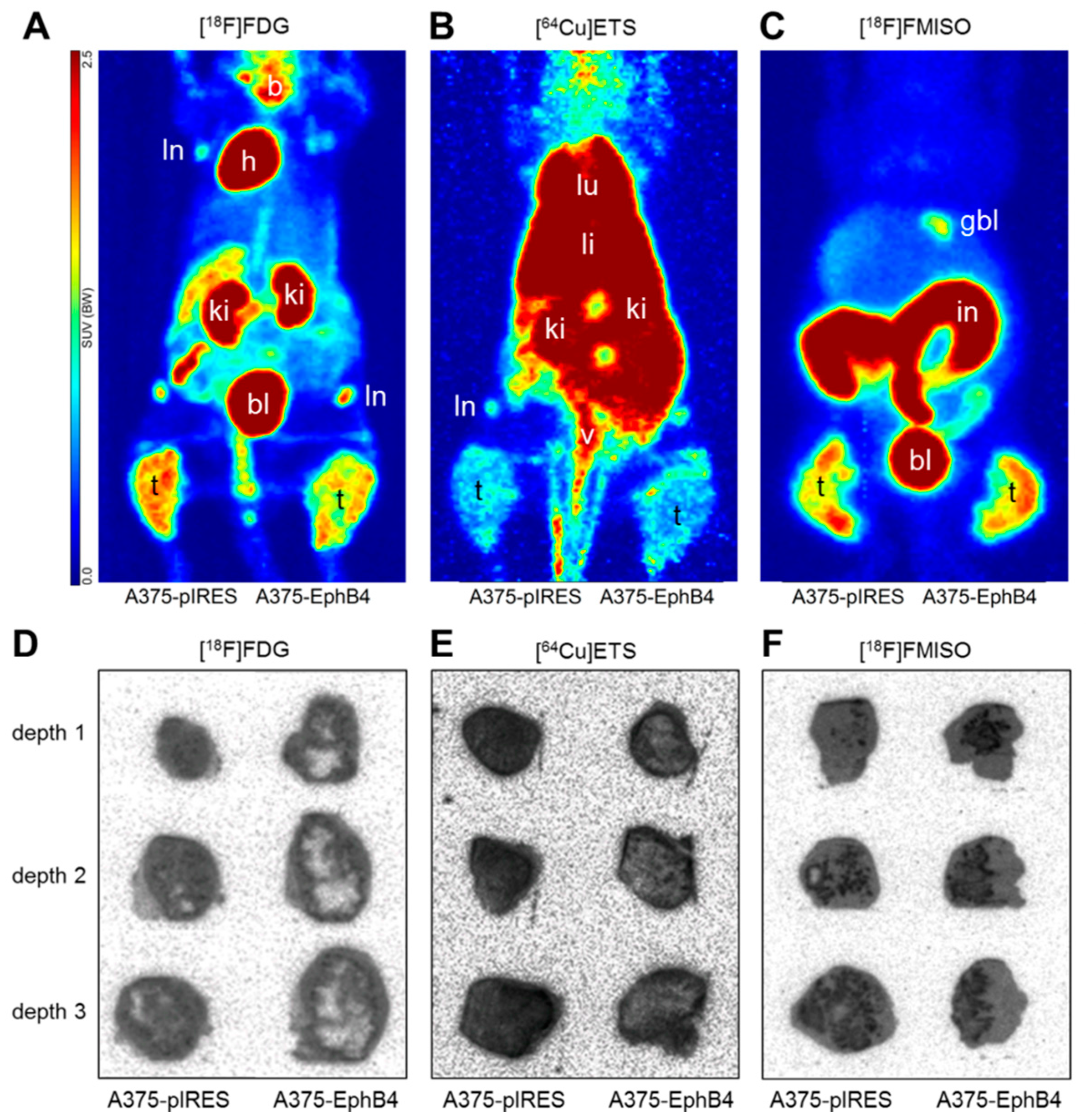 Molecules 23 00444 g003a