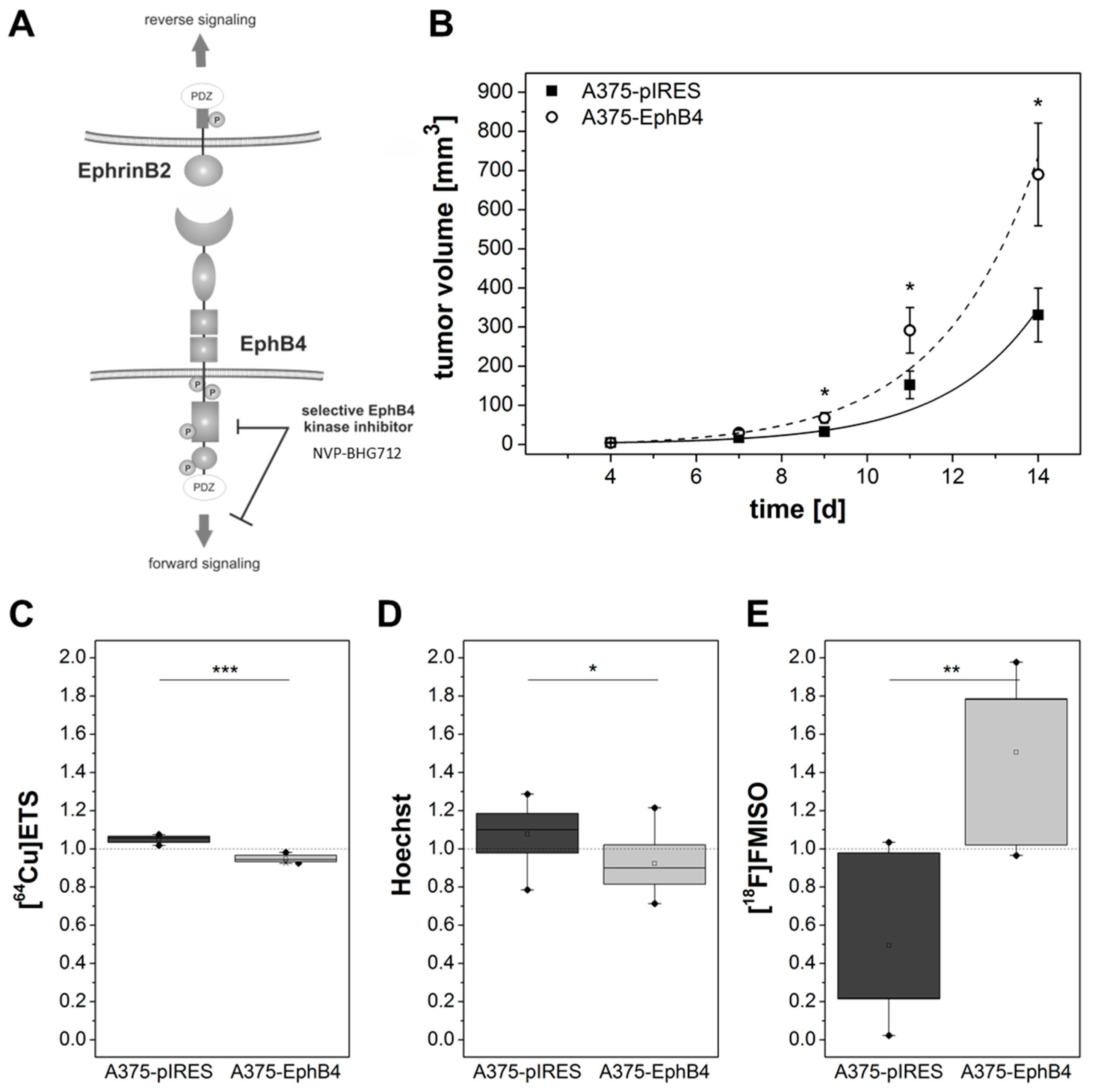 Molecules 23 00444 g007