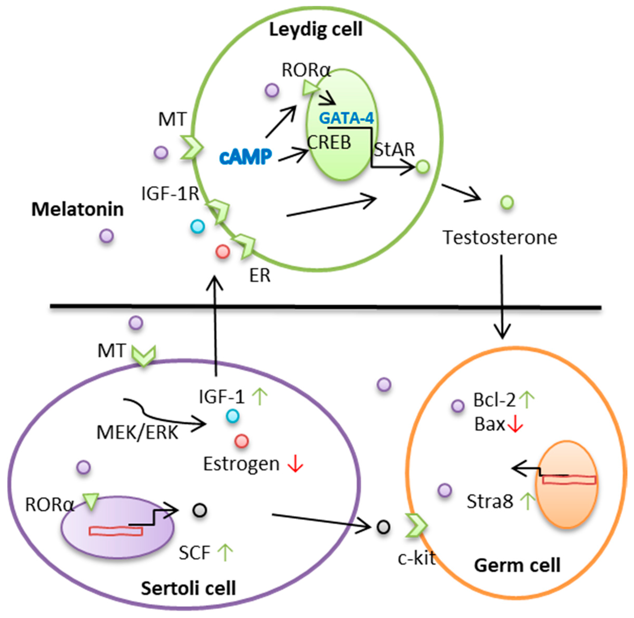 Molecules 23 00447 g001
