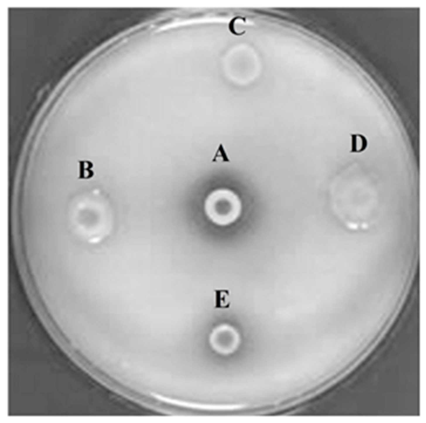 Molecules 23 00448 g001