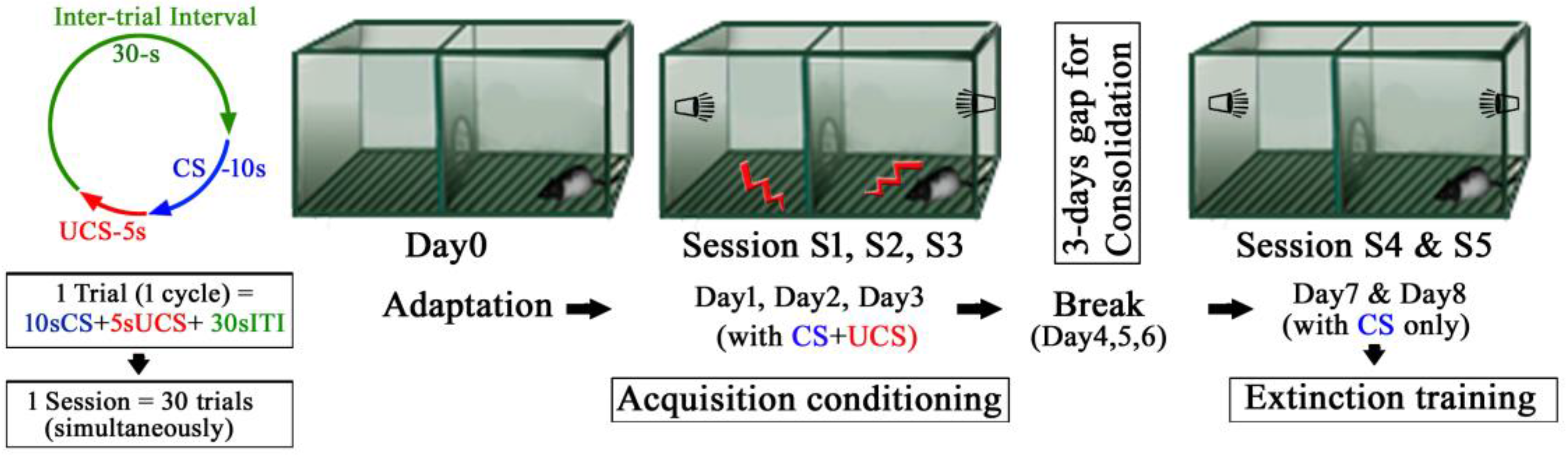 Molecules 23 00451 g004